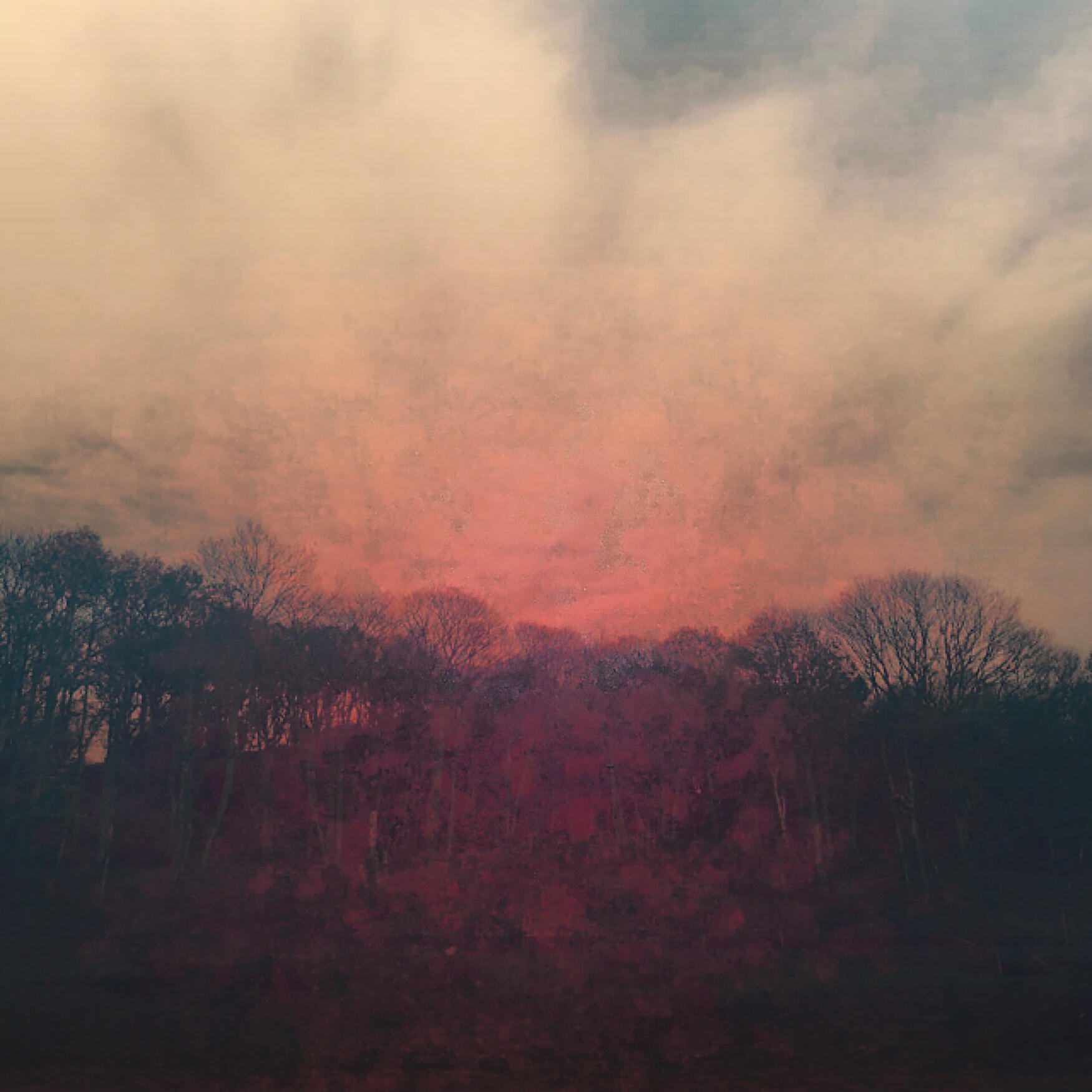 Релиз The Dizzying Parade