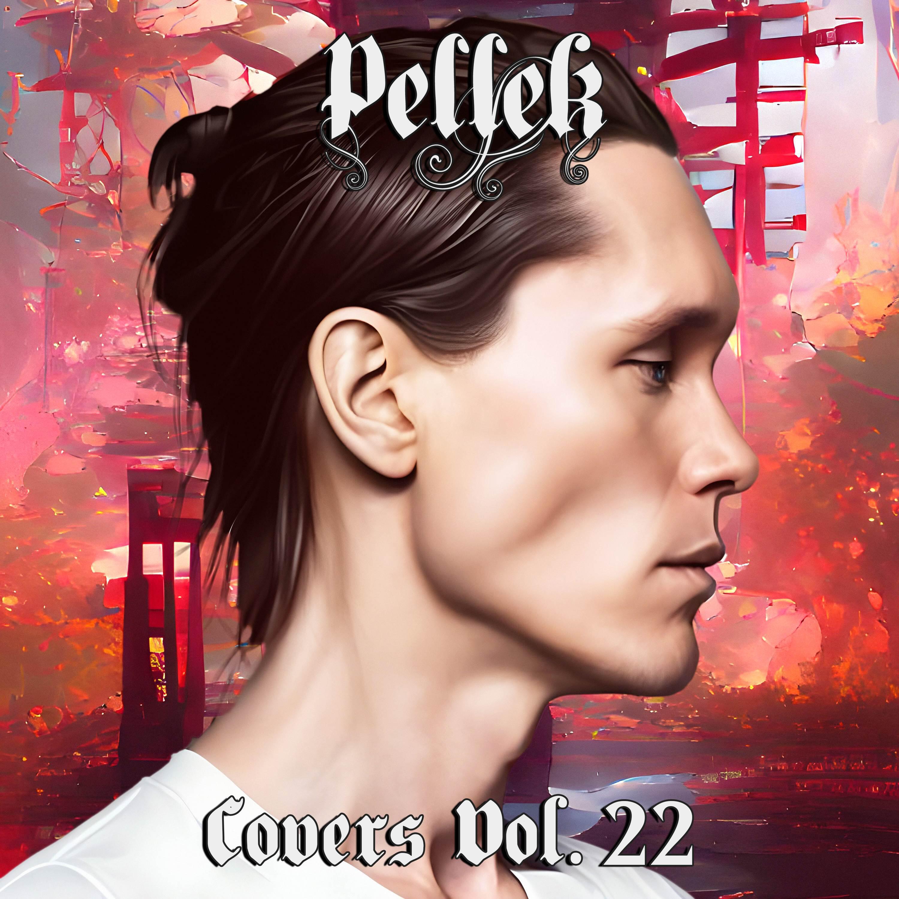Релиз Covers Vol. 22