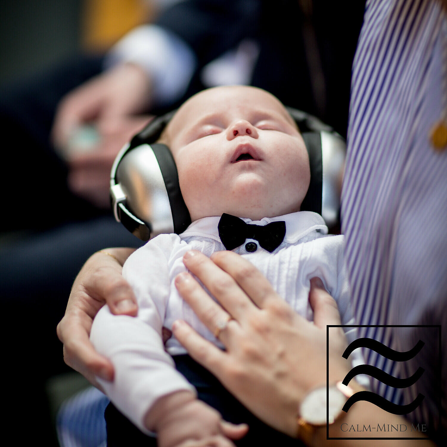 Релиз Sleepy Noise to Calm