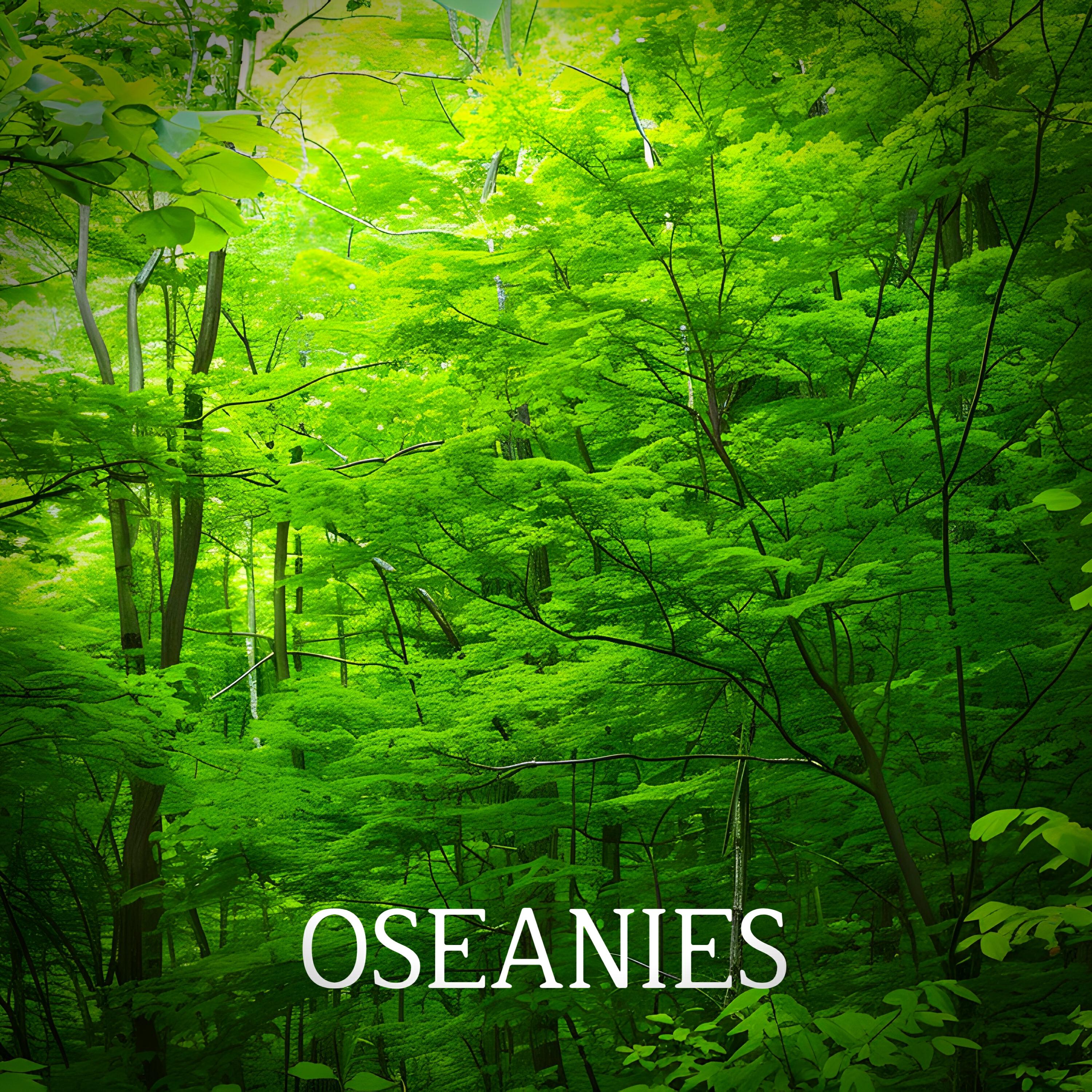 Релиз Oseanies