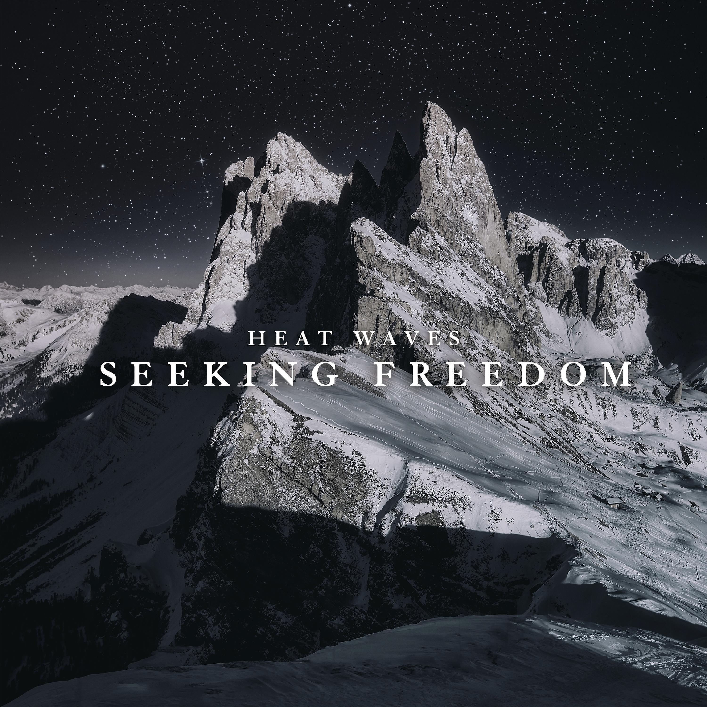 Релиз Seeking Freedom