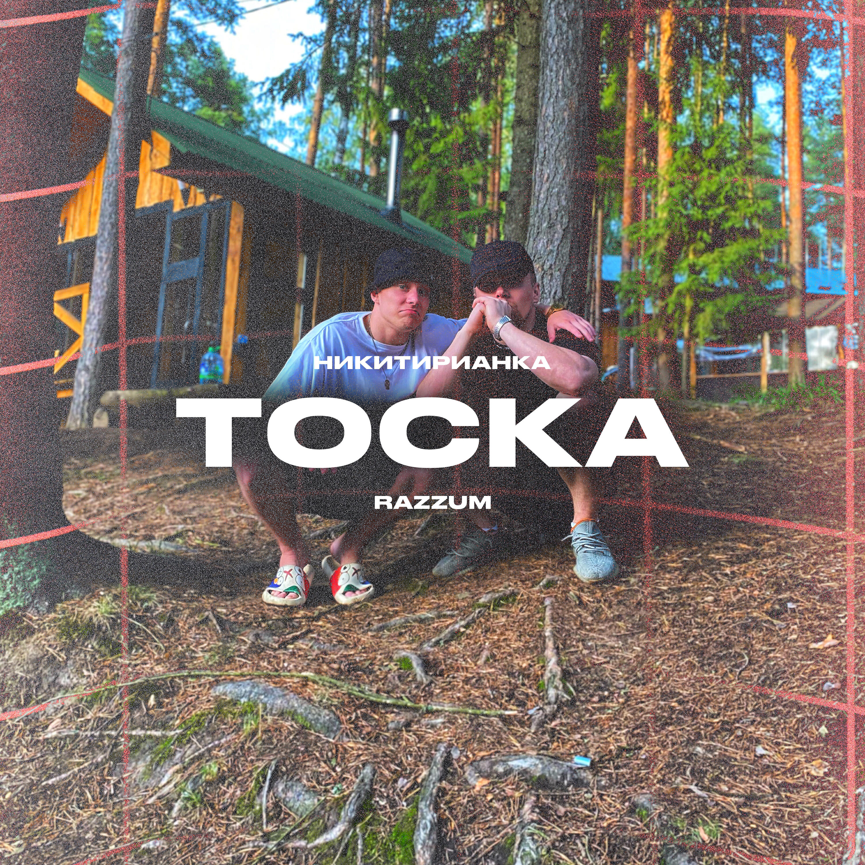 Постер альбома Тоска