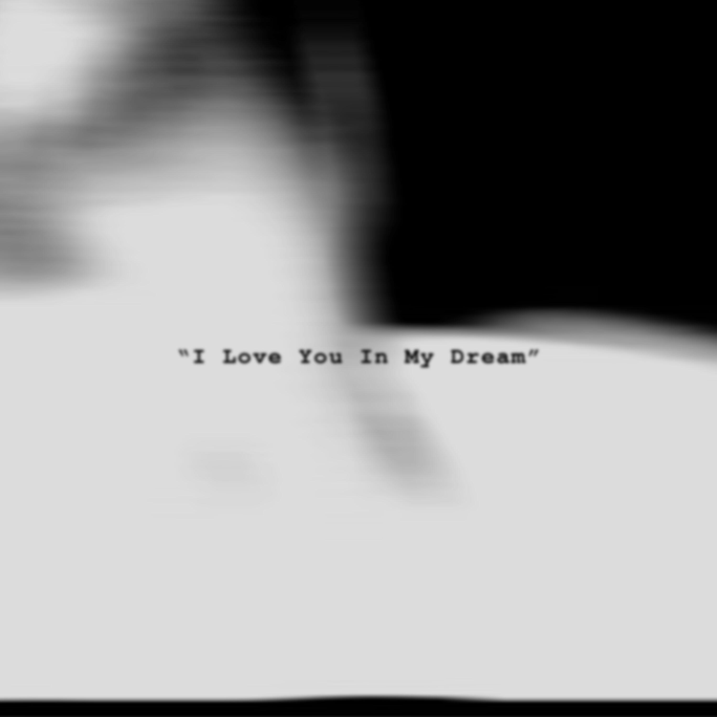 Постер альбома I Love You In My Dream