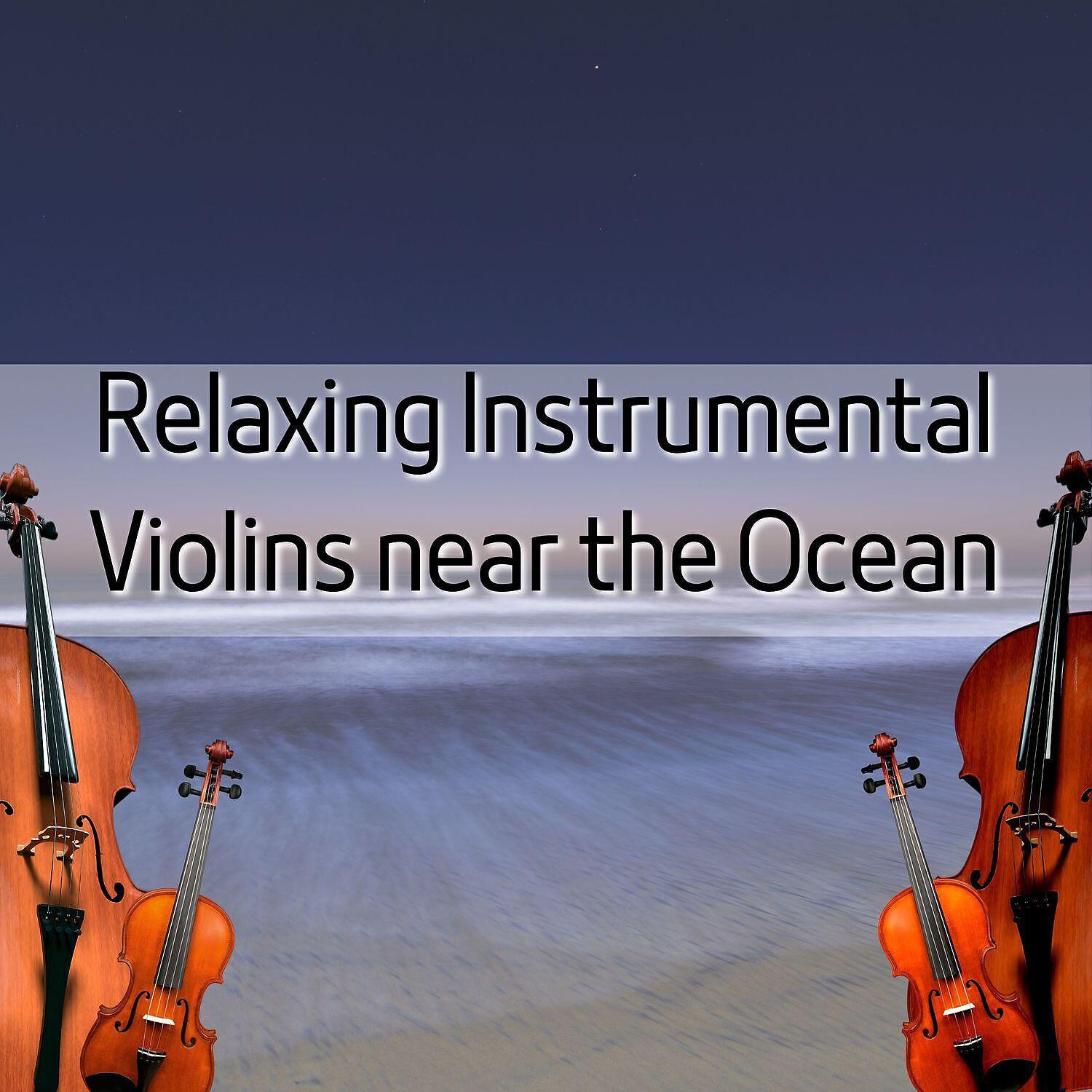 Violin Cello Zone