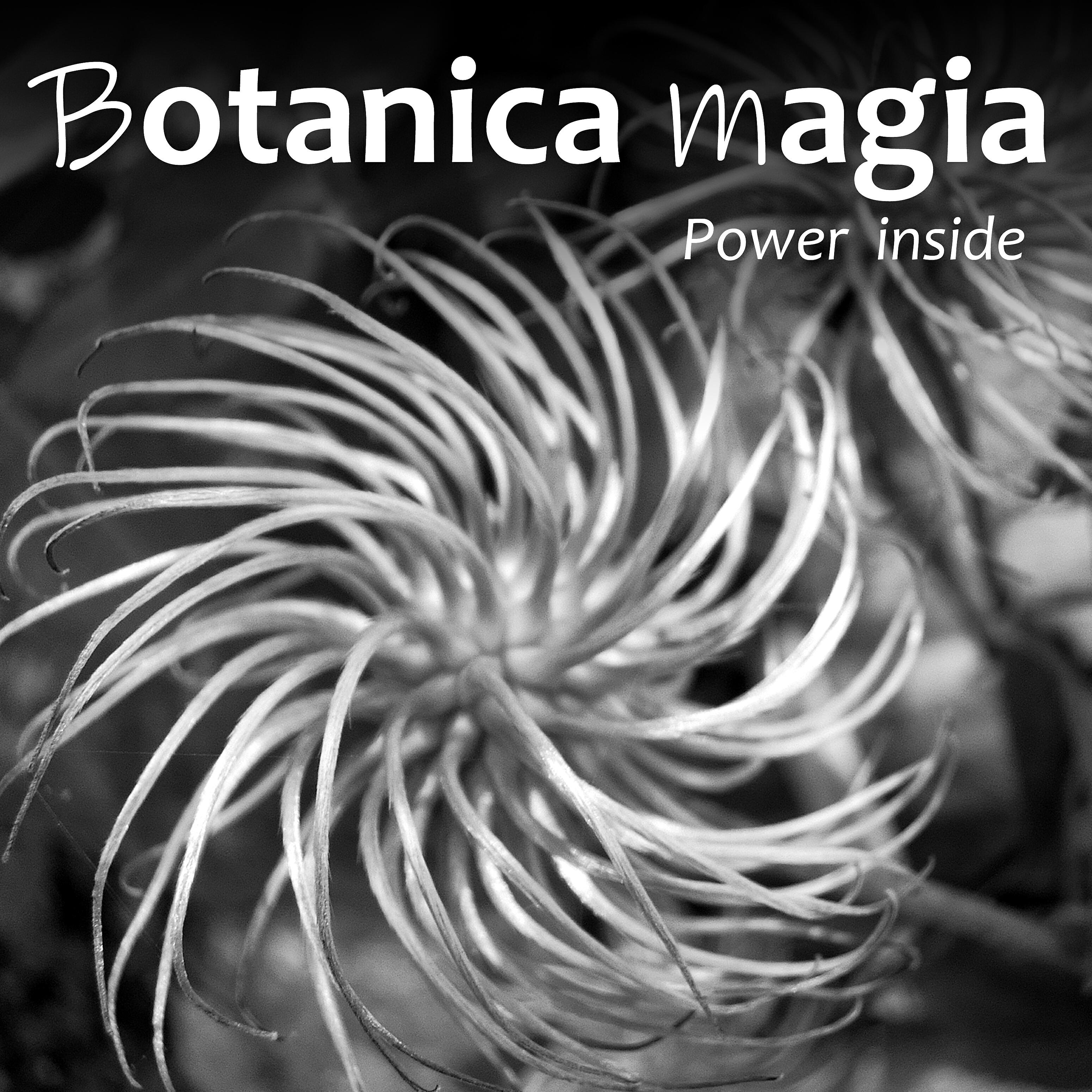 Релиз Power Inside