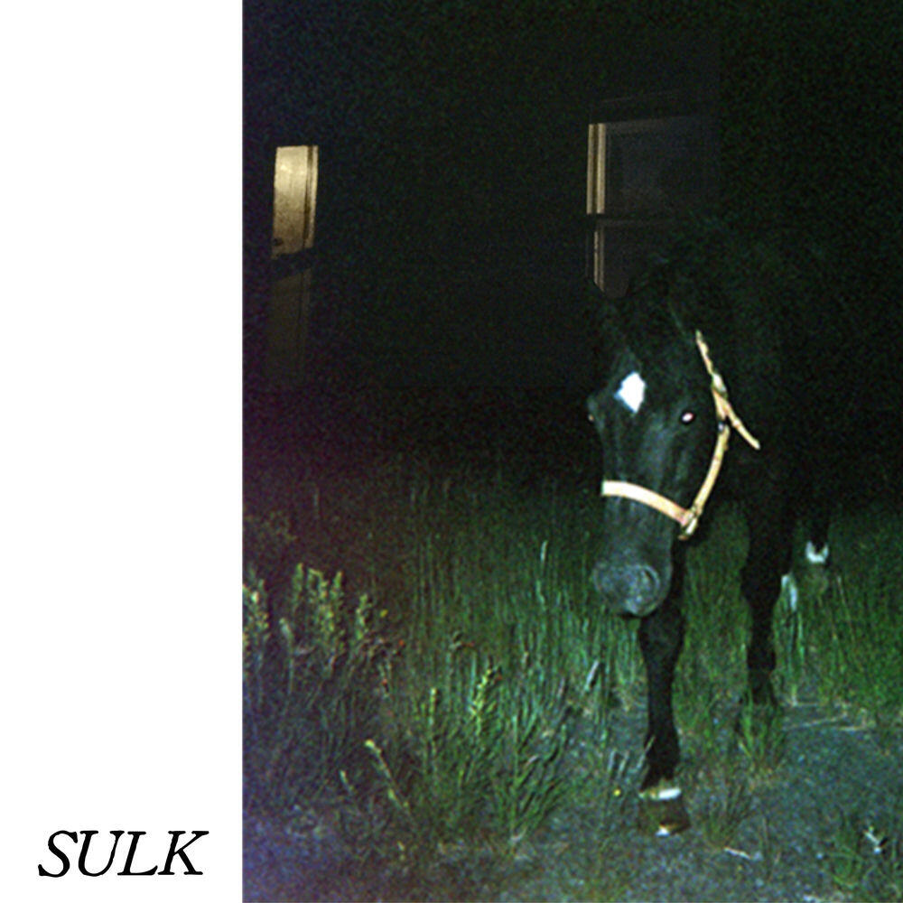 Релиз Sulk