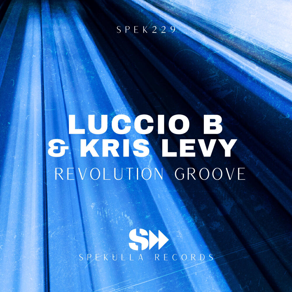 Релиз Revolution Groove