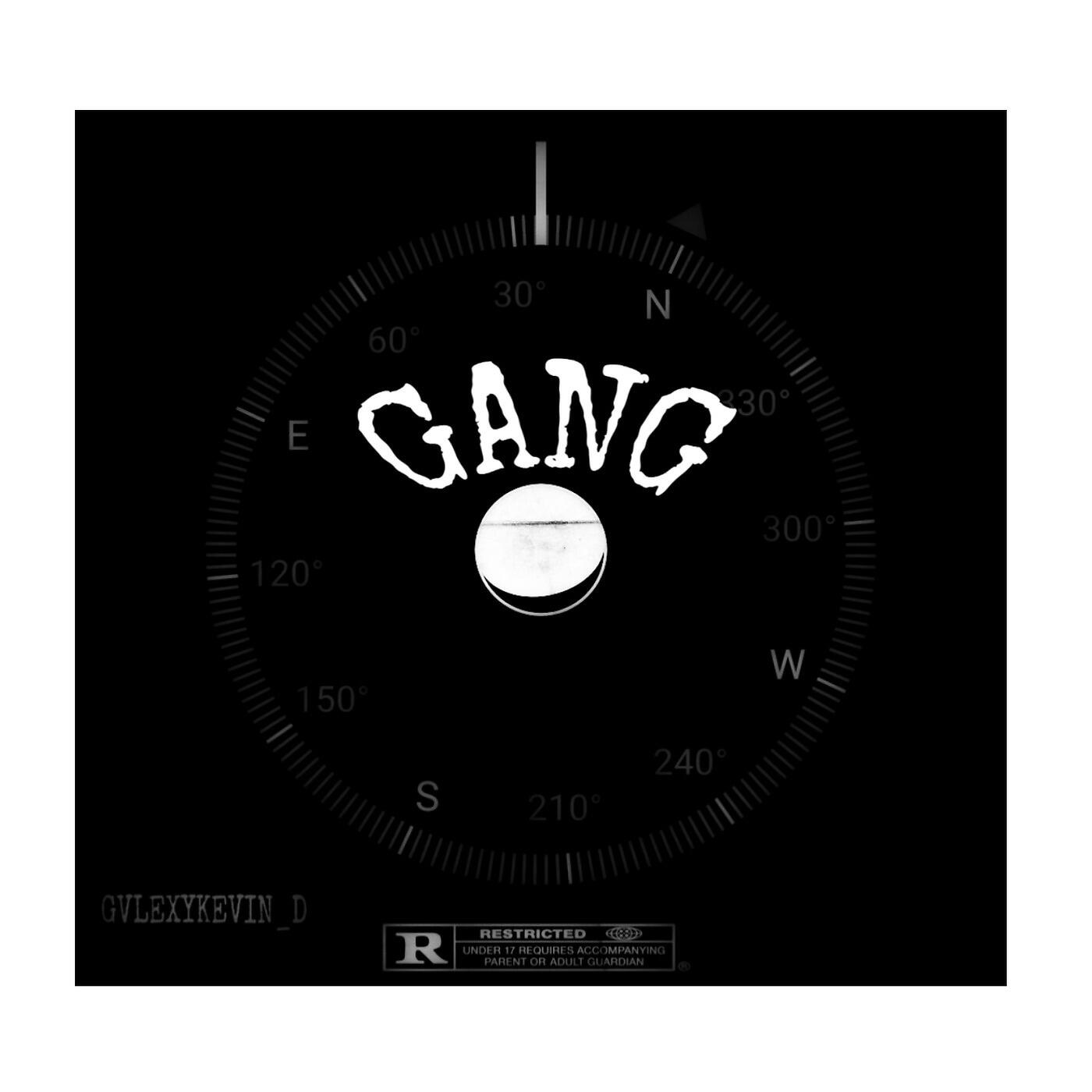 Релиз Gang