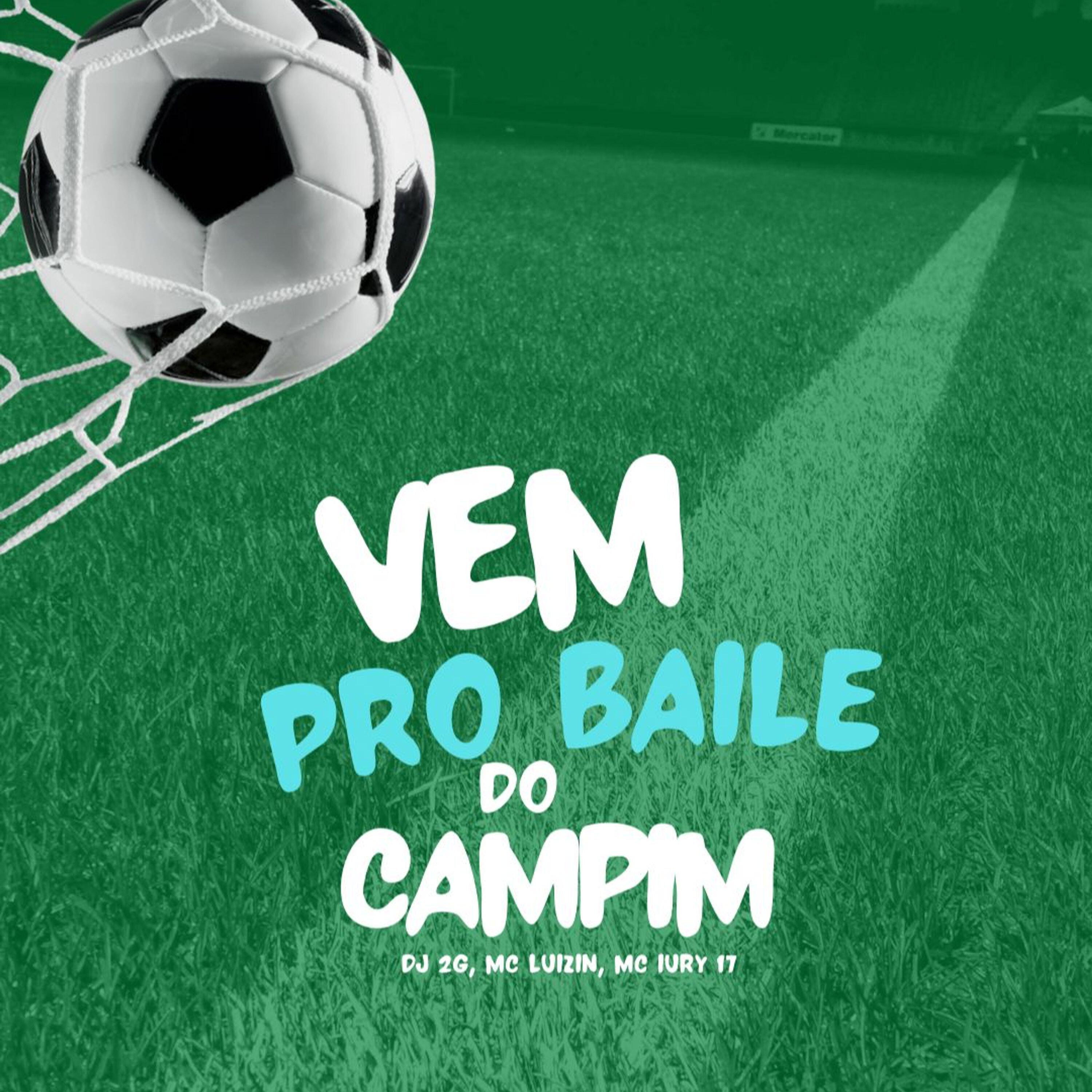 Релиз Vem pro Baile do Campim