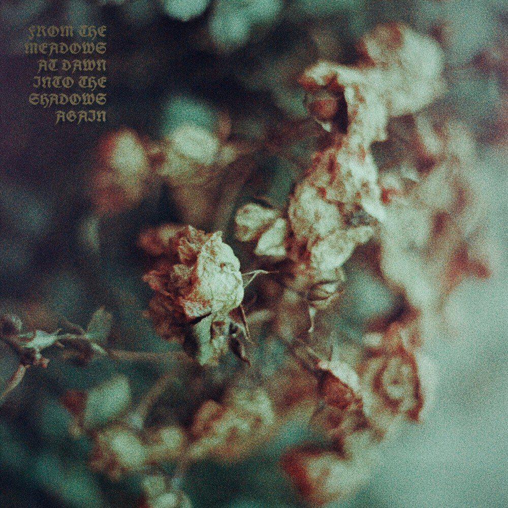 Релиз From the Meadows at Dawn into the Shadows Again