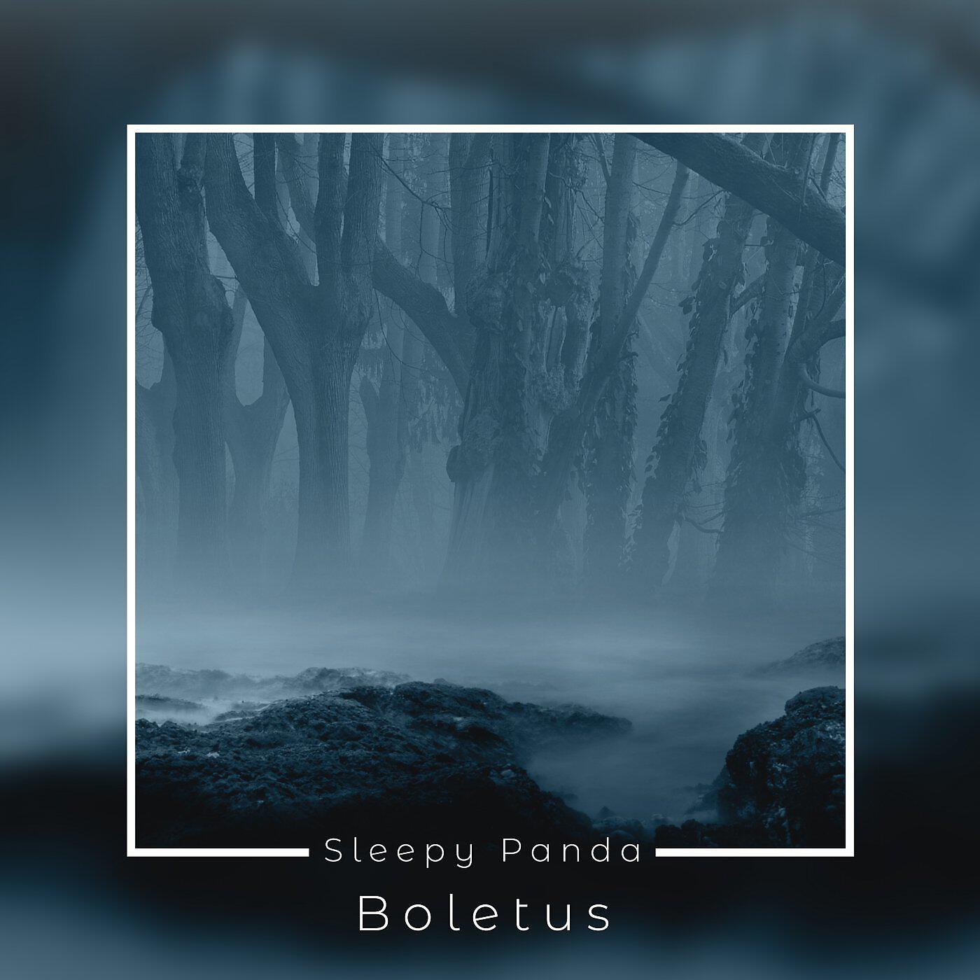 Релиз Boletus