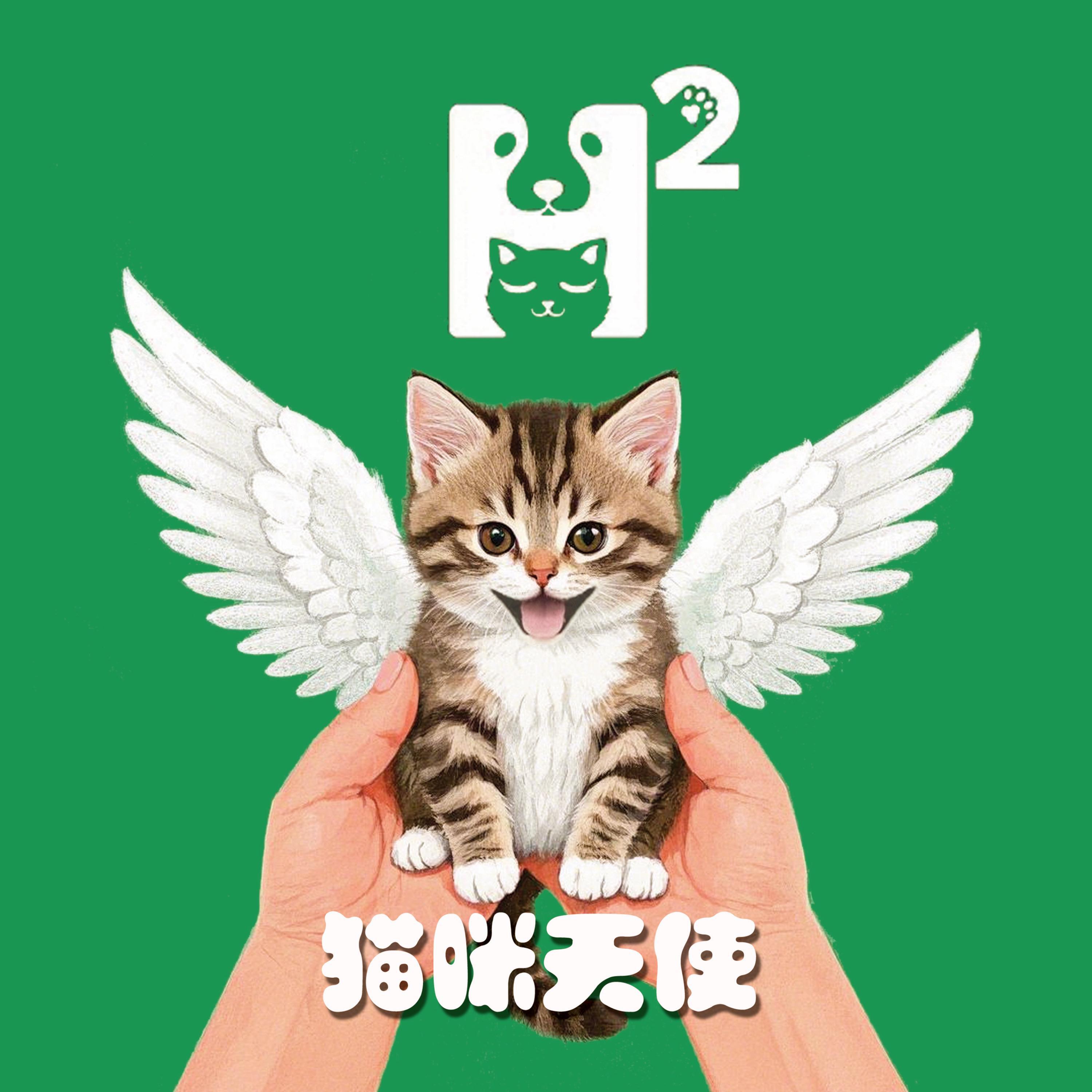豆豆姐姐
