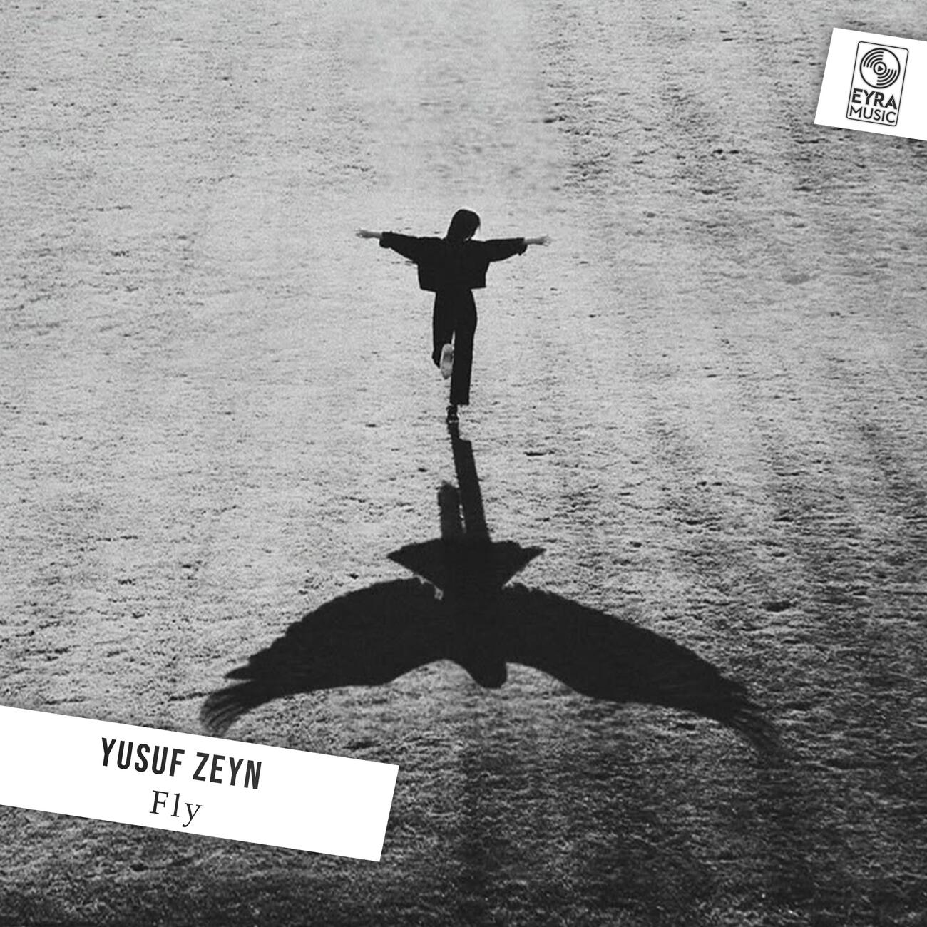 Релиз Fly