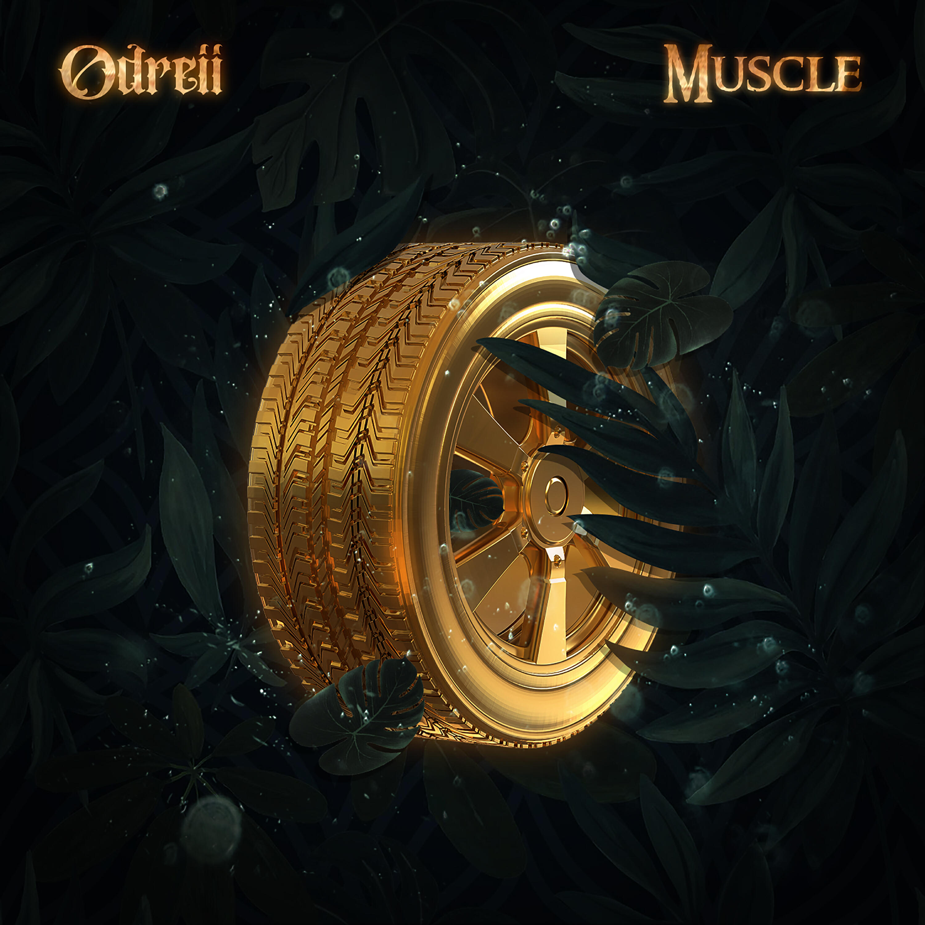 Релиз Muscle