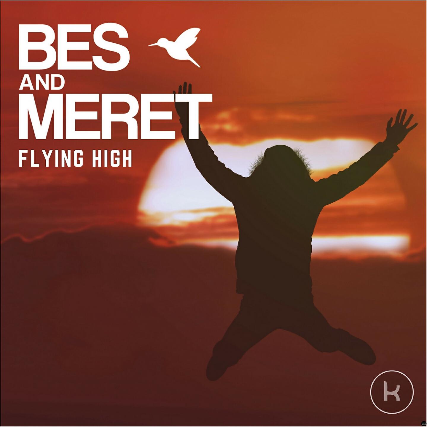 Постер альбома Flying High