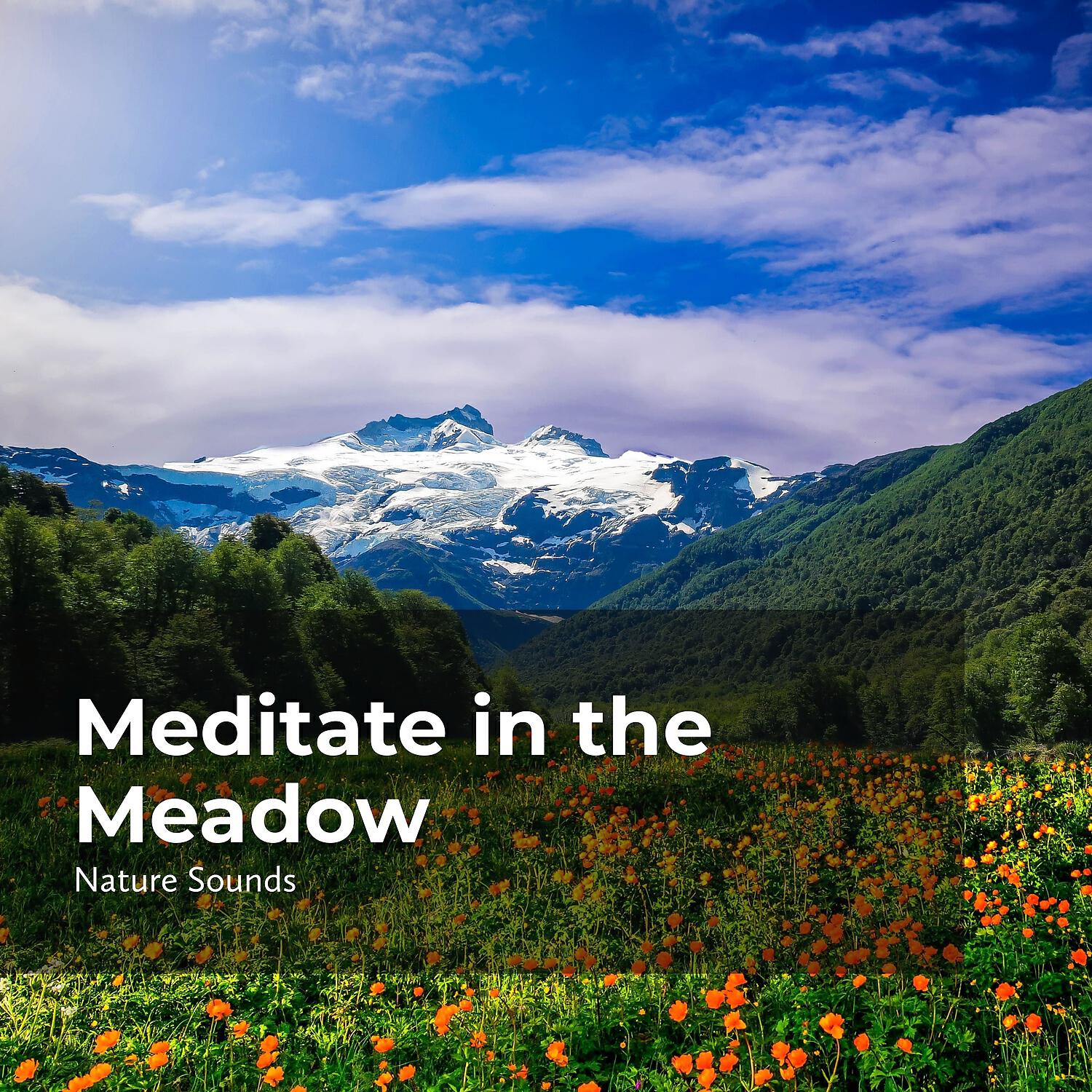 Релиз Meditate in the Meadow