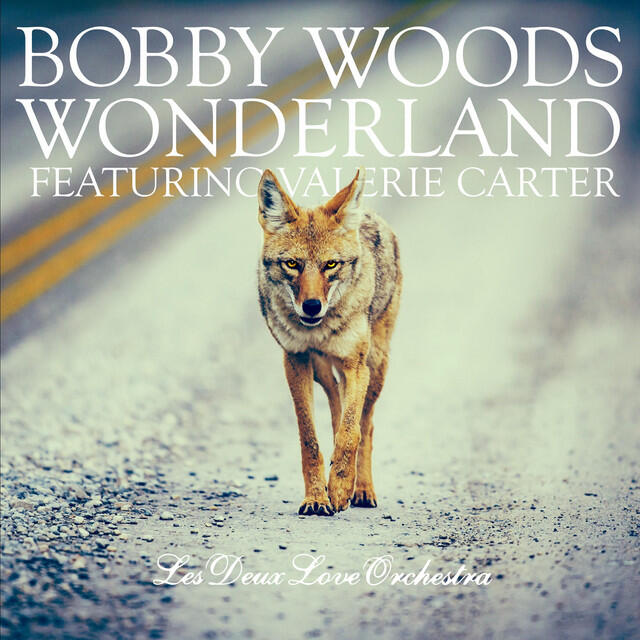 Релиз Wonderland