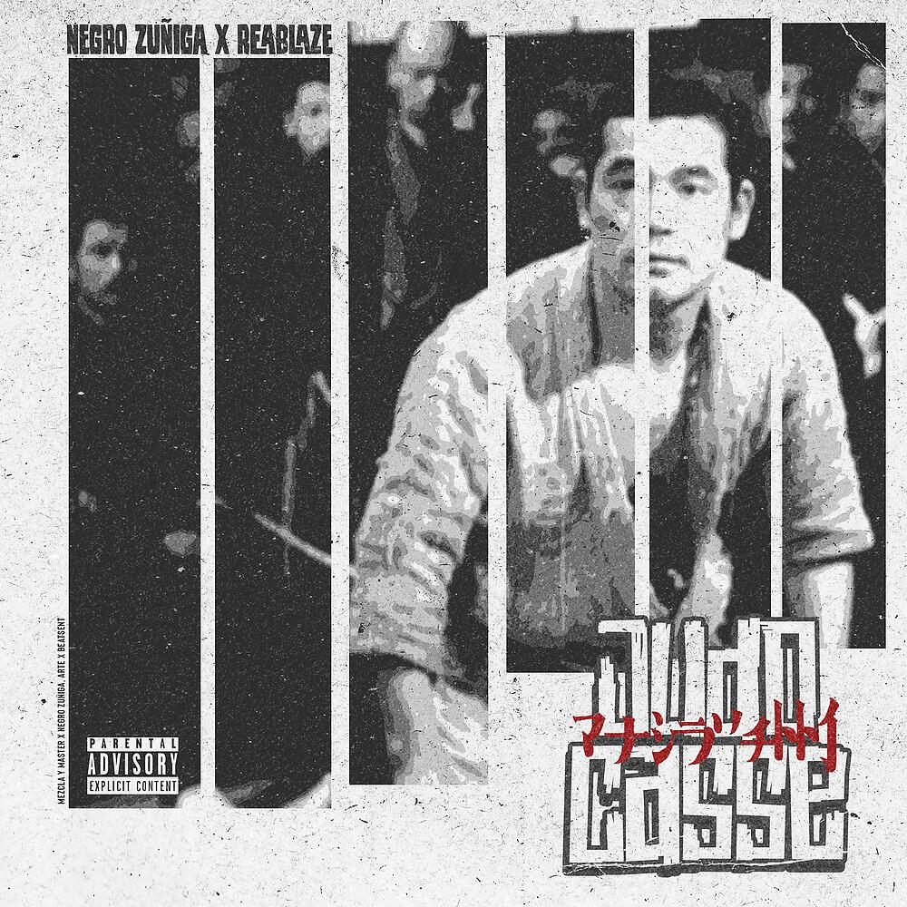 Релиз Judocasse