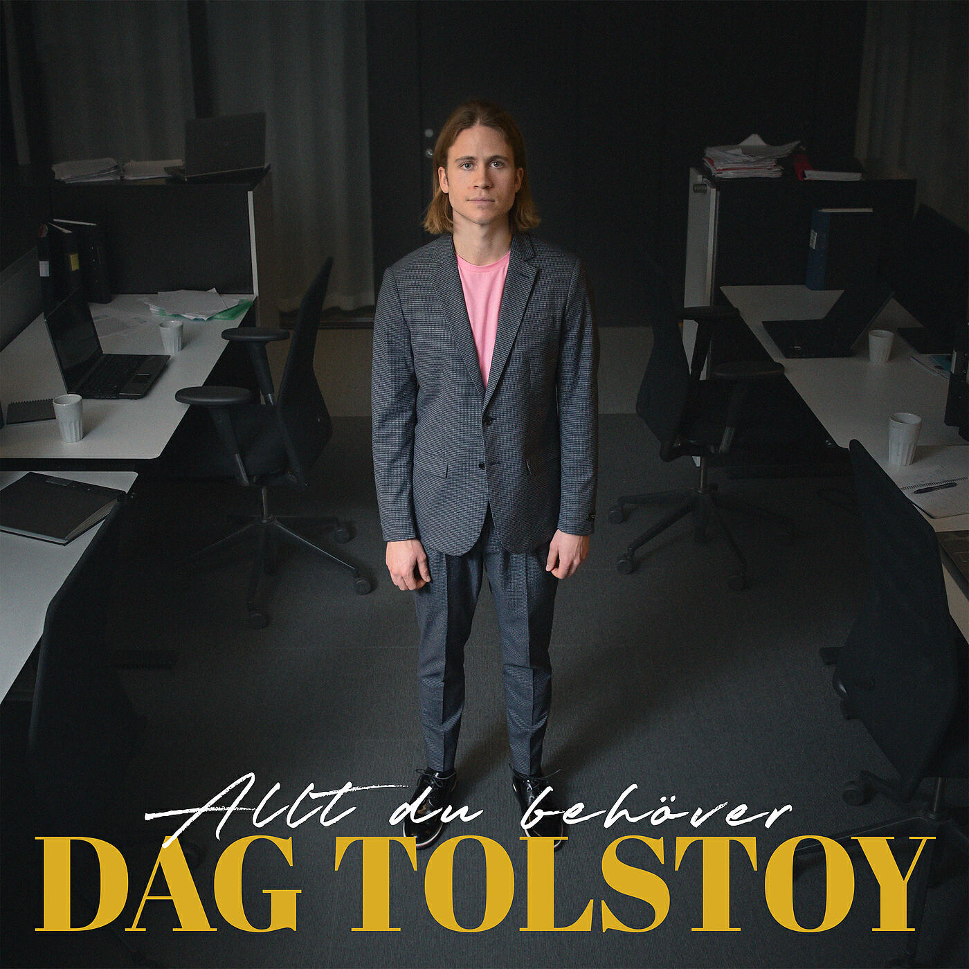 Релиз Allt du behöver