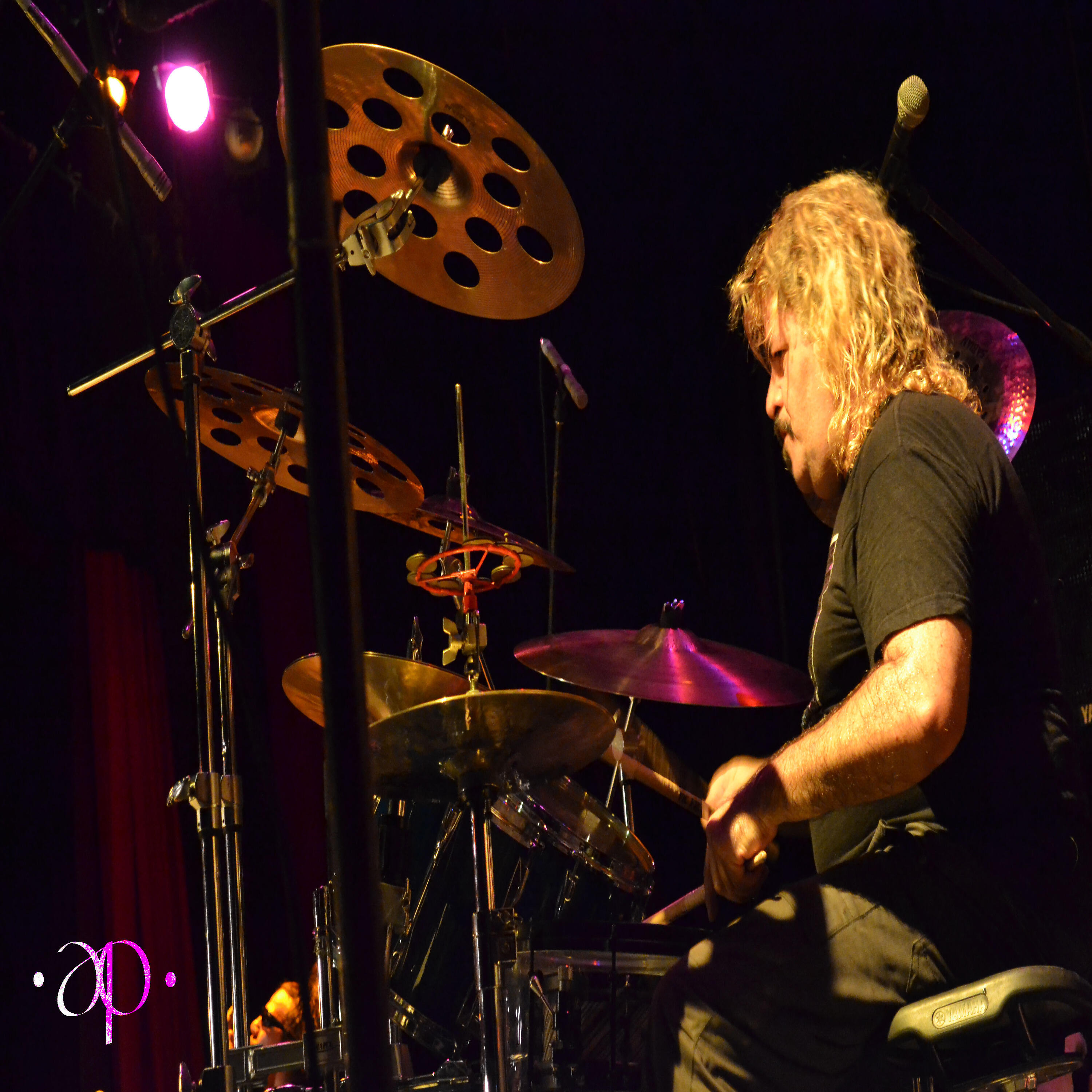 MIKE PORTILLO