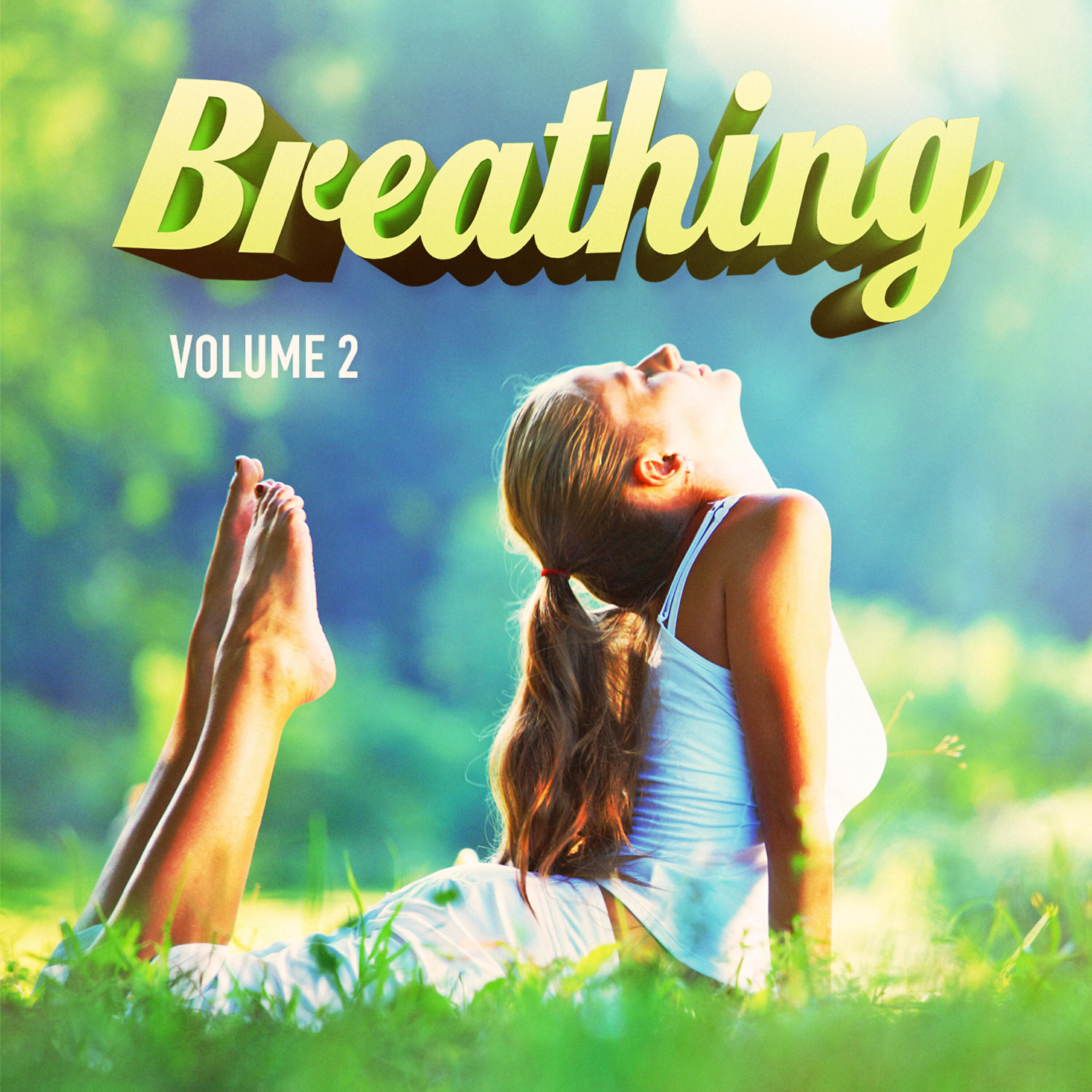 Релиз Just Breath, Vol. 2 (25 Songs of Relaxation Music to Ease the Mind)