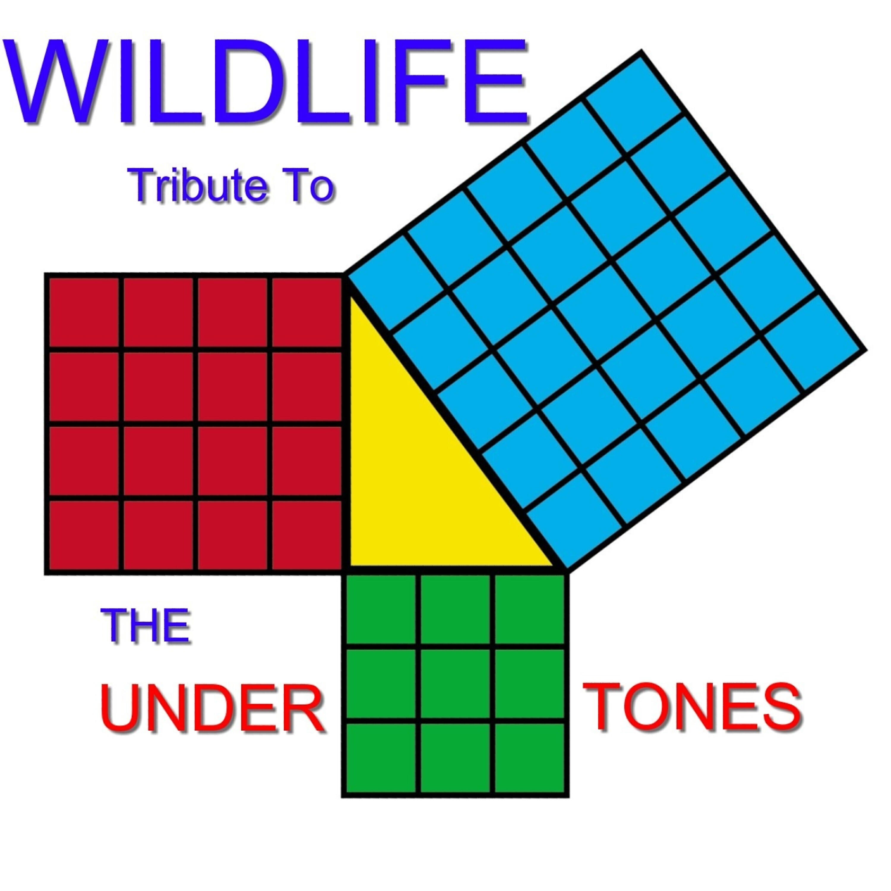 Релиз Tribute to the Undertones