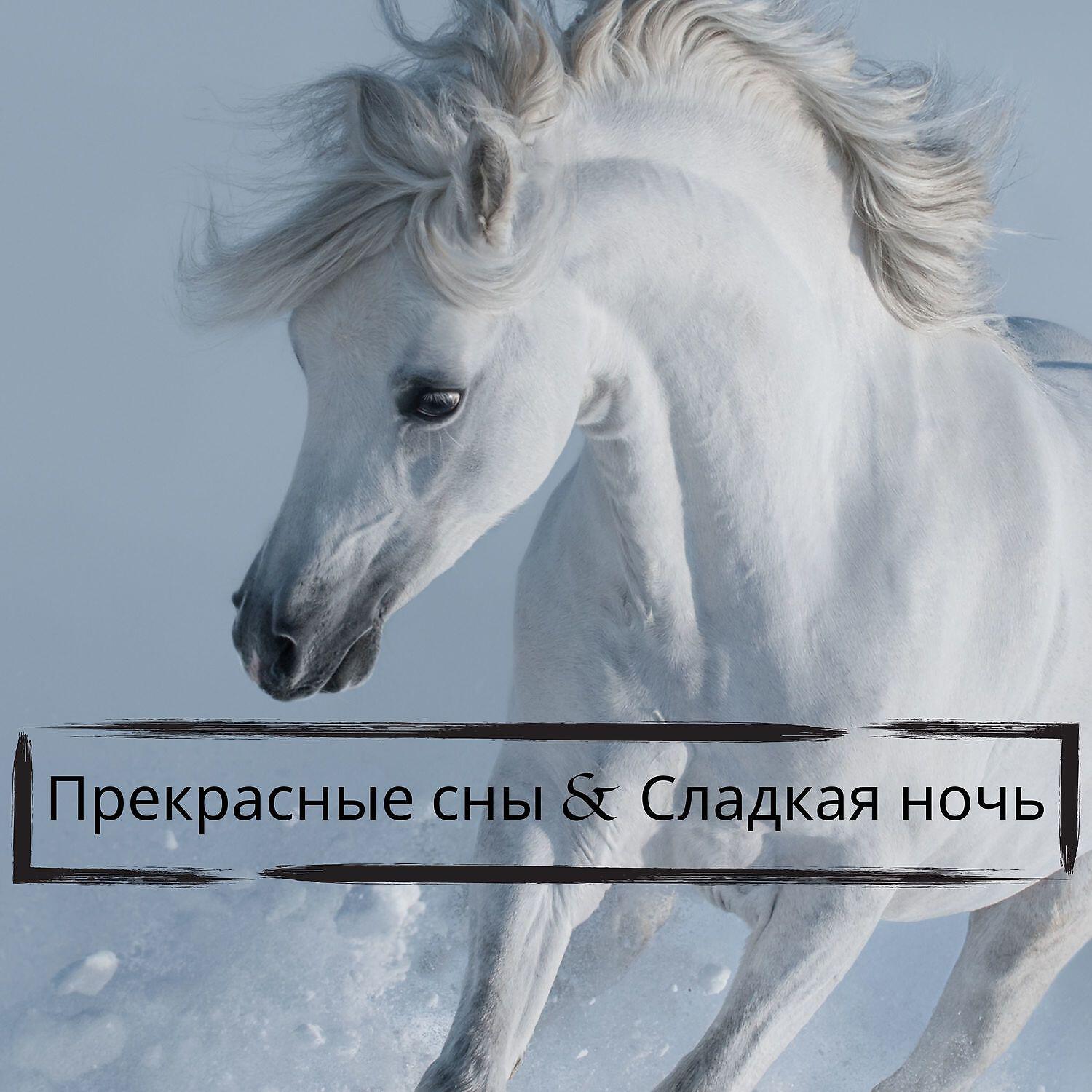 Релиз Прекрасные сны & Сладкая ночь