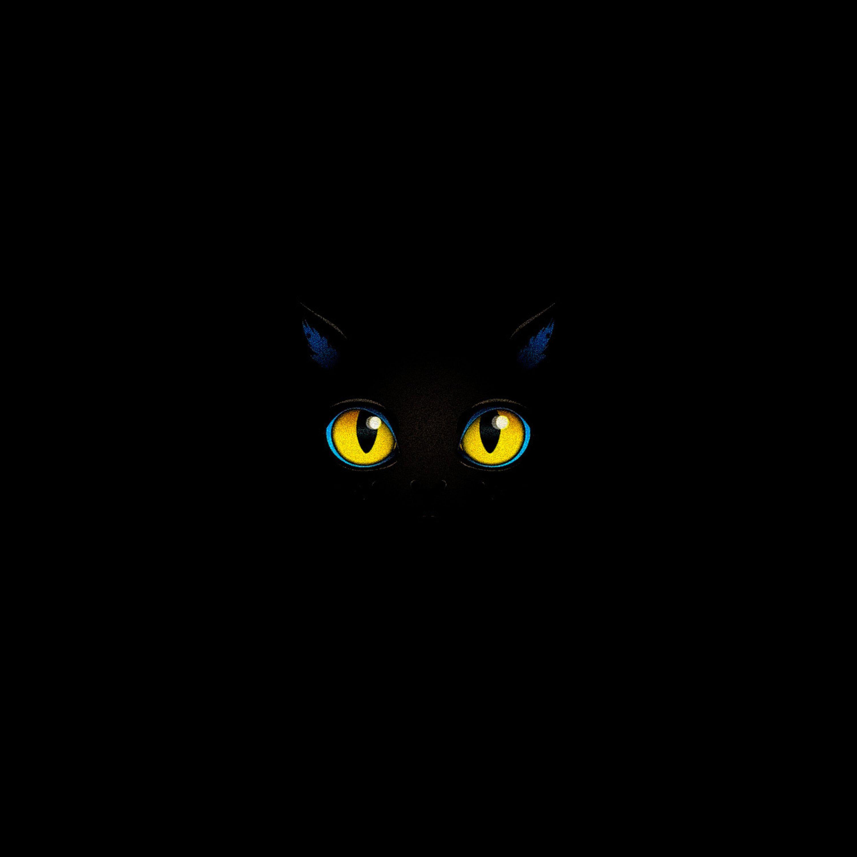 Постер альбома cat person