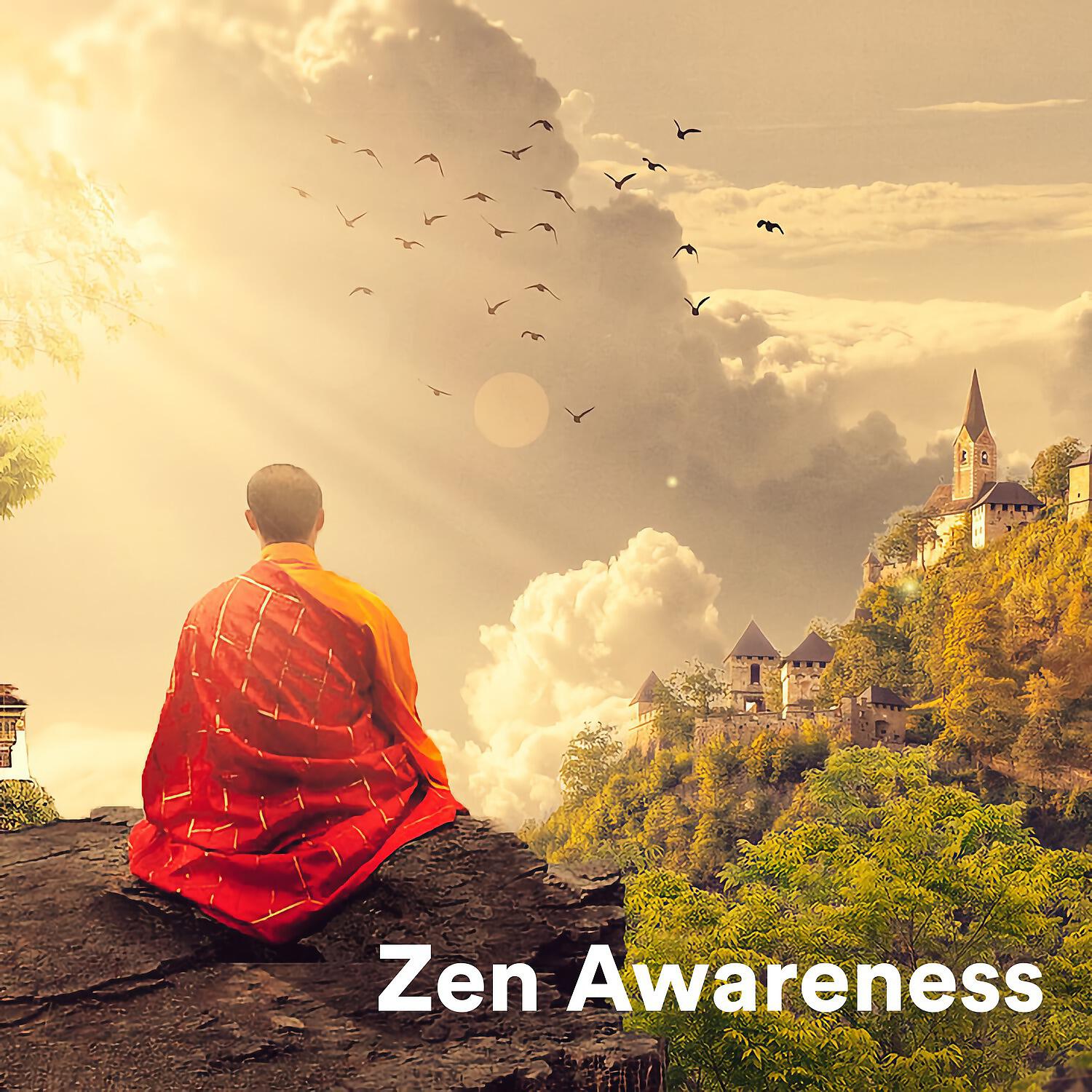 Релиз Zen Awareness