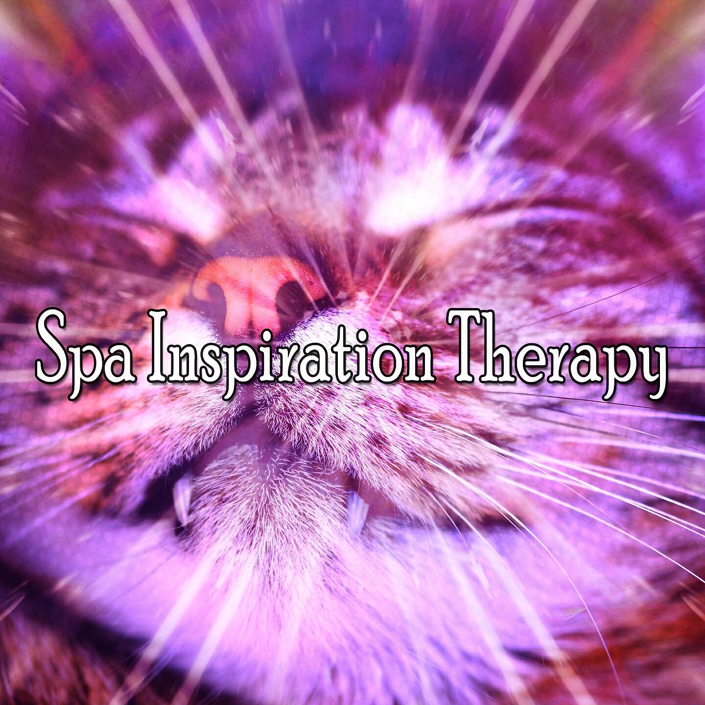 Релиз Spa Inspiration Therapy