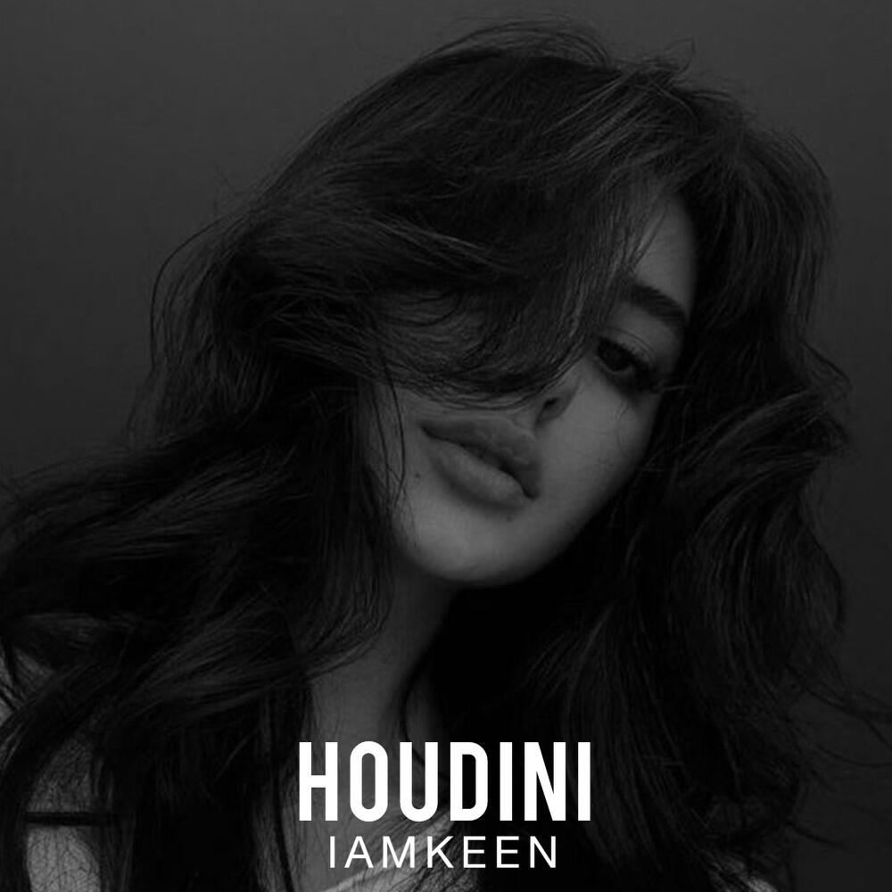 Релиз Houdini
