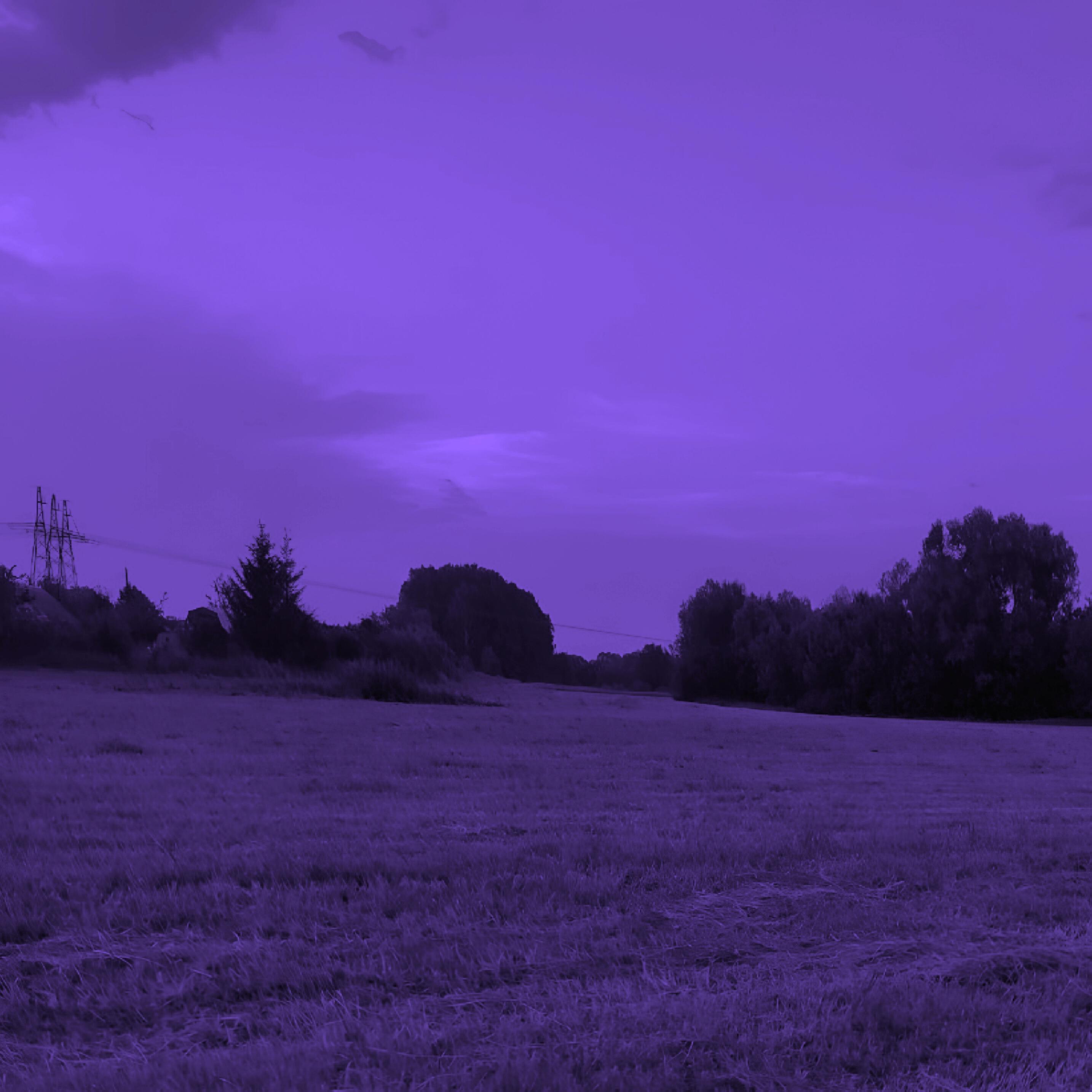 Постер альбома obsessions (Slowed + Reverb)