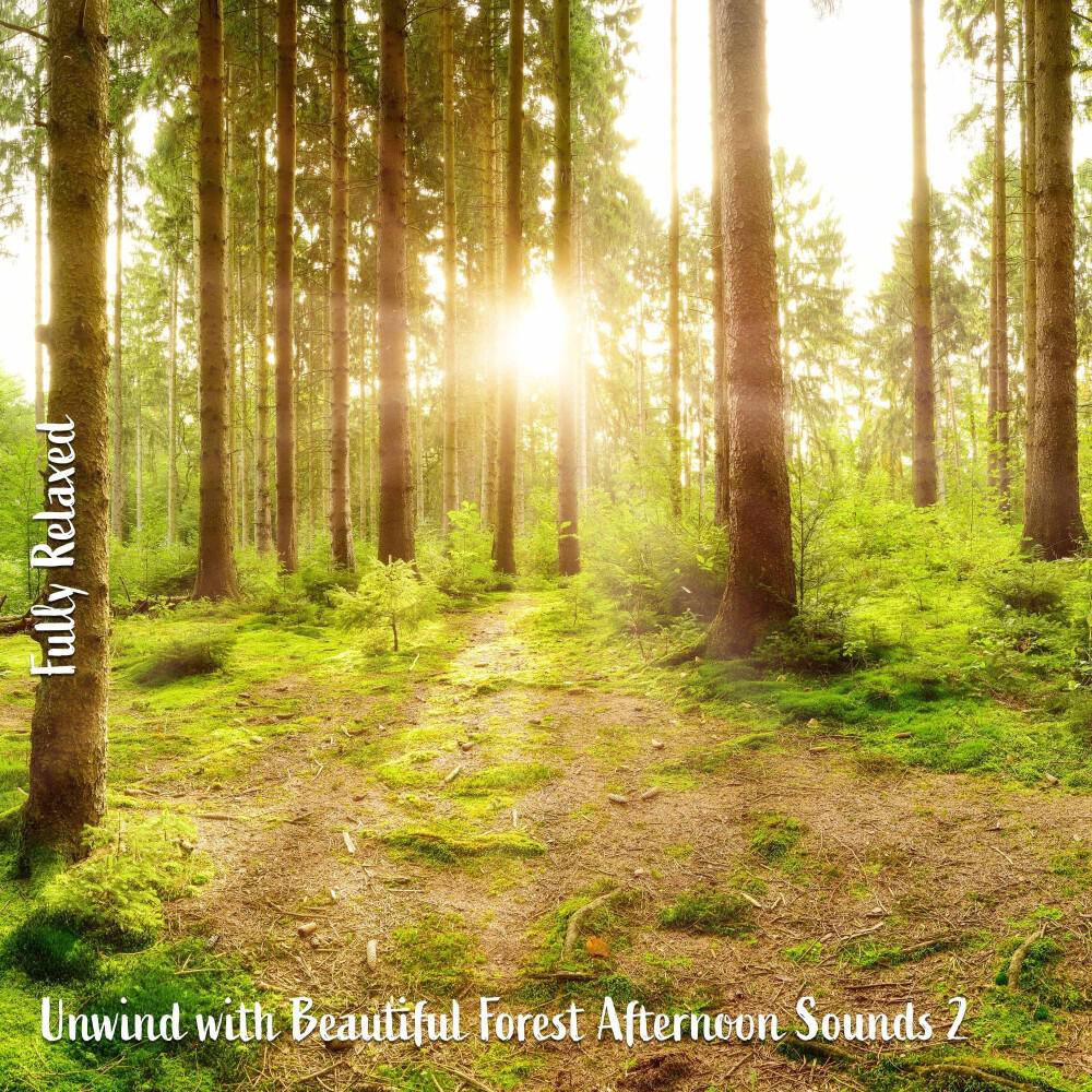 Релиз Fully Relaxed: Unwind with Beautiful Forest Afternoon Sounds 2