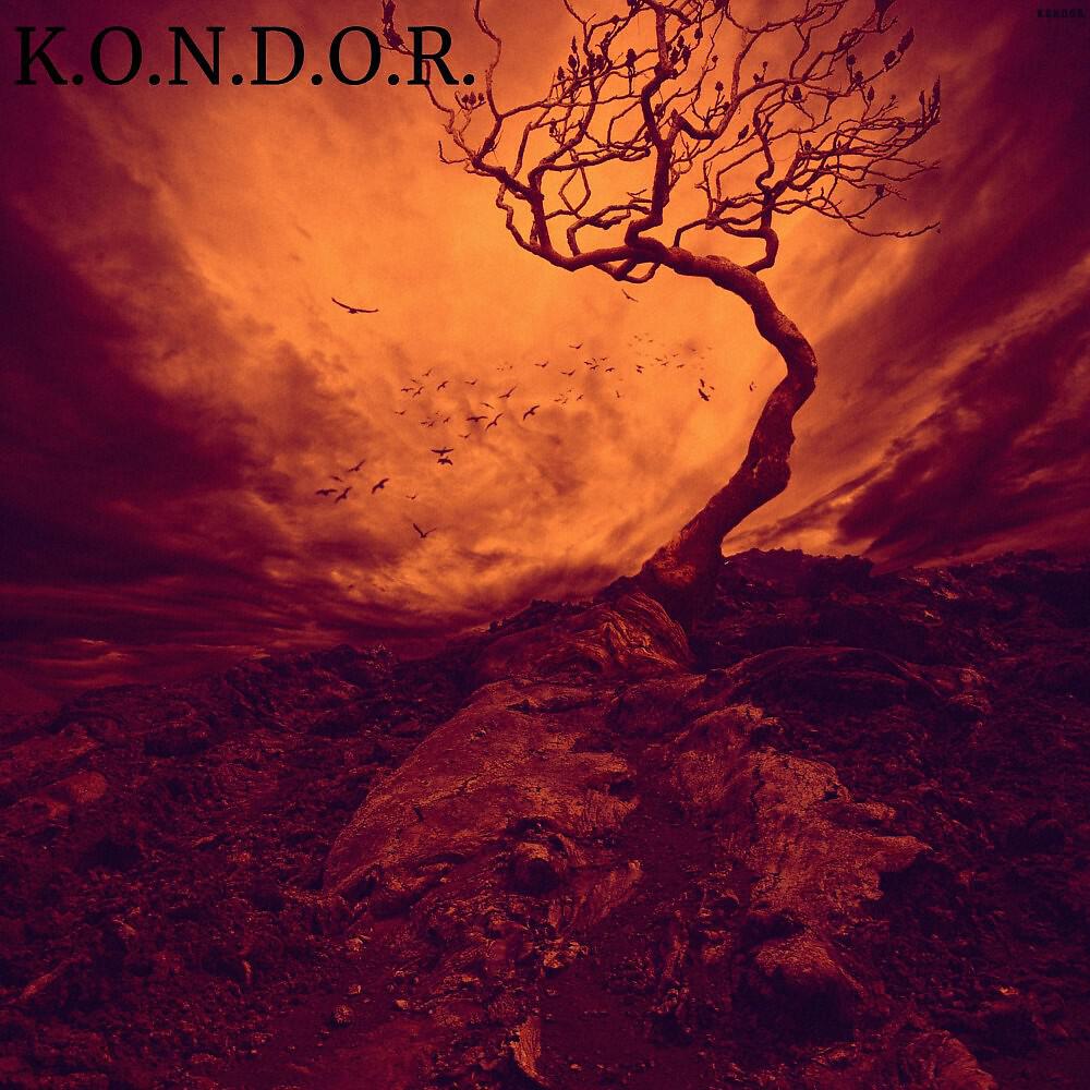 K.O.N.D.O.R.
