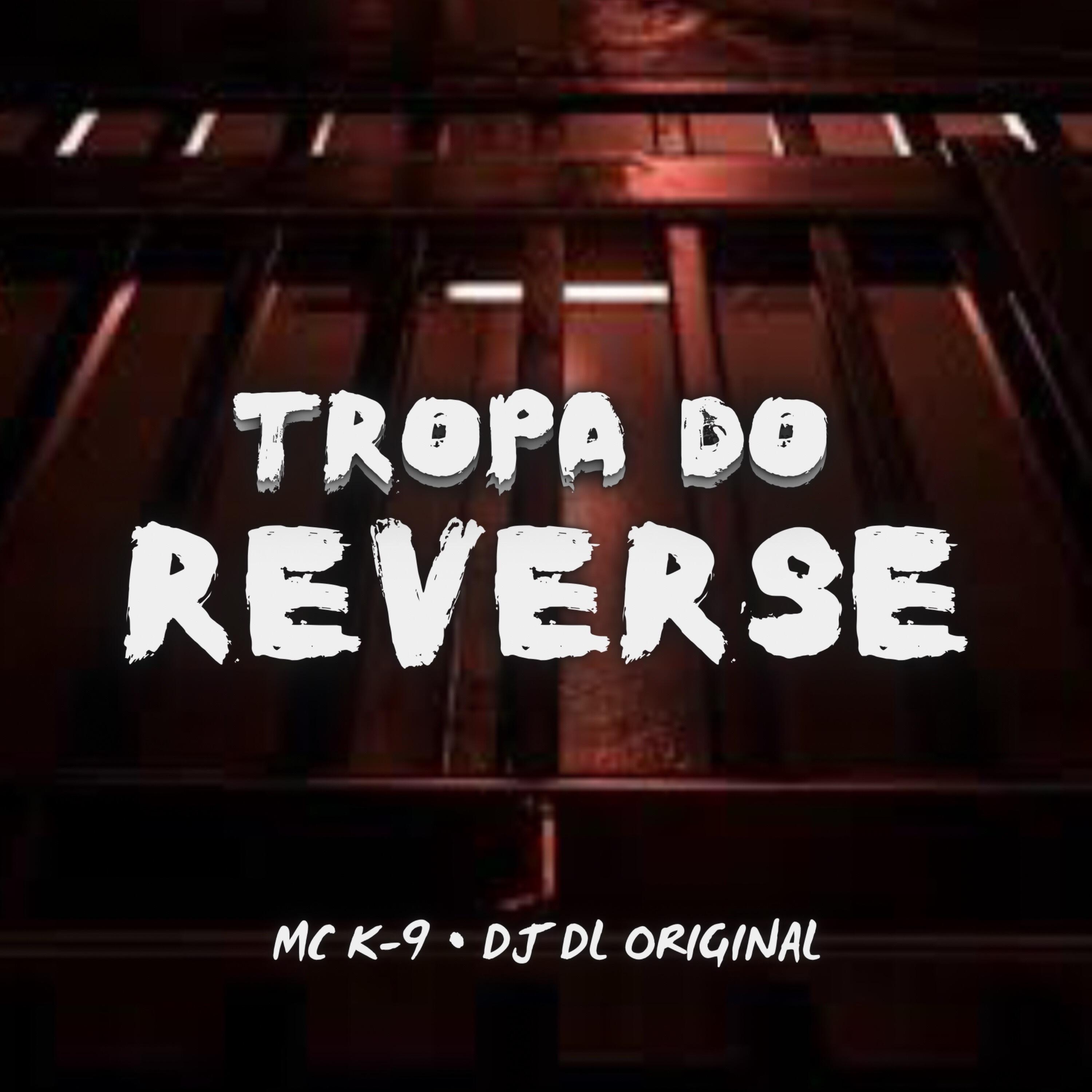 Релиз Tropa do Reverse