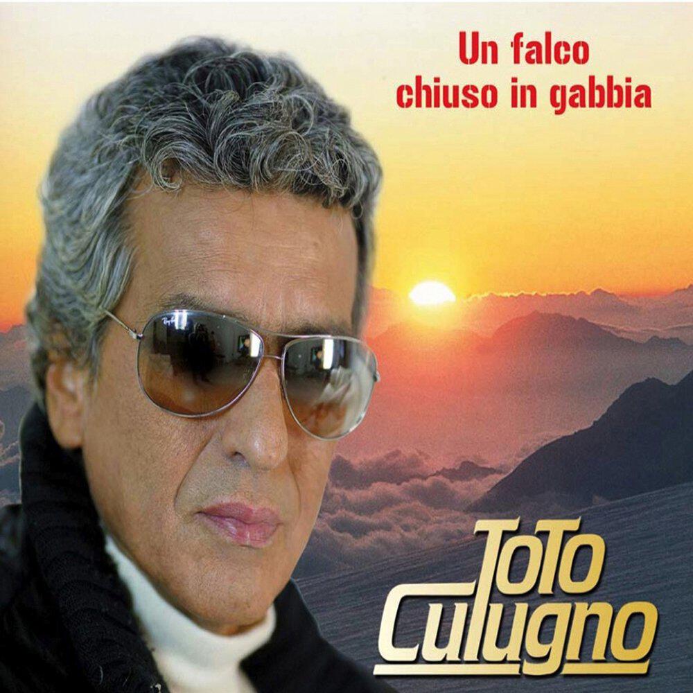 Трек Un falco chiuso in gabbia (Sanremo 2008)