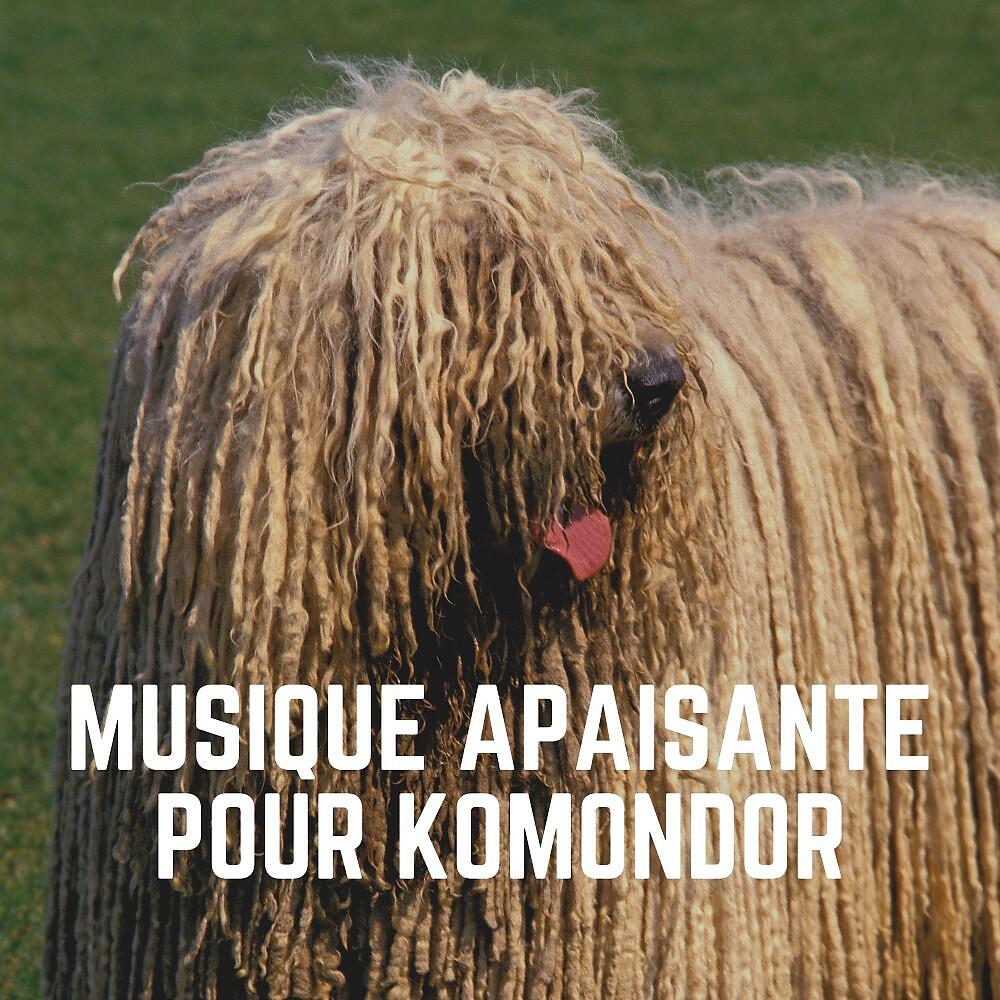 Релиз Musique Apaisante Pour Komondor