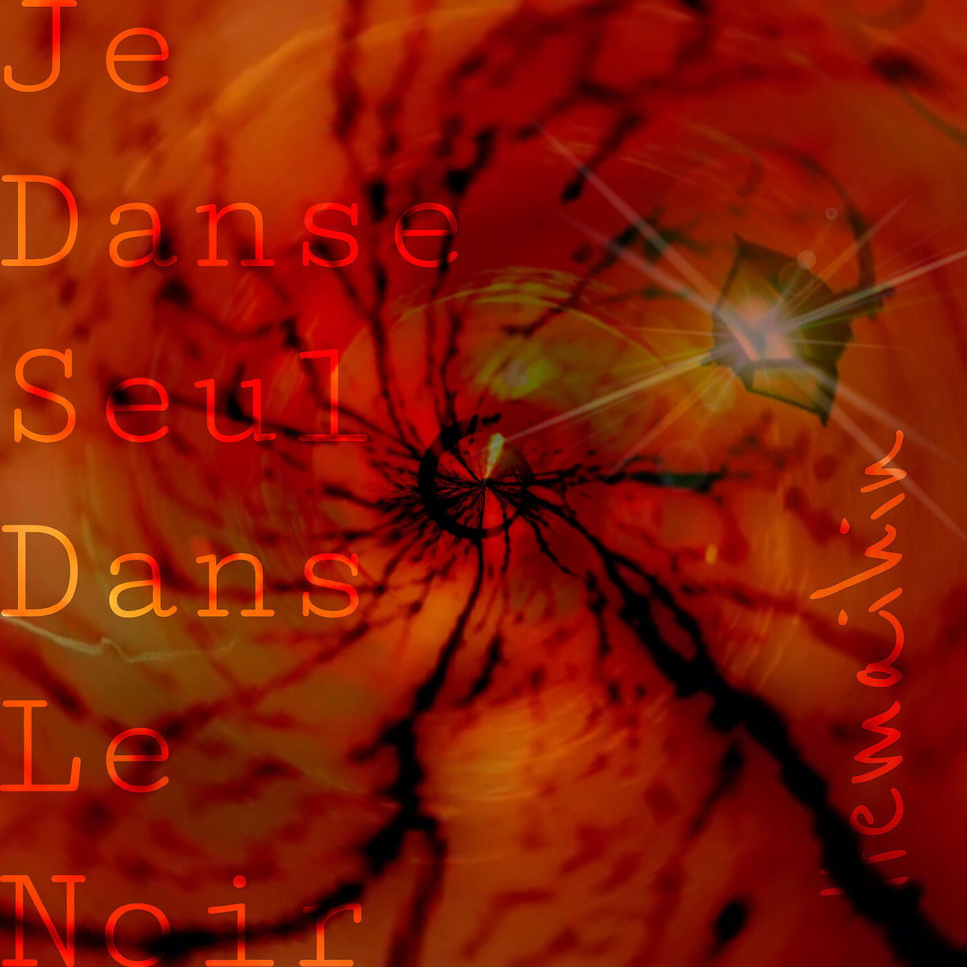 Релиз Je danse seul dans le noir