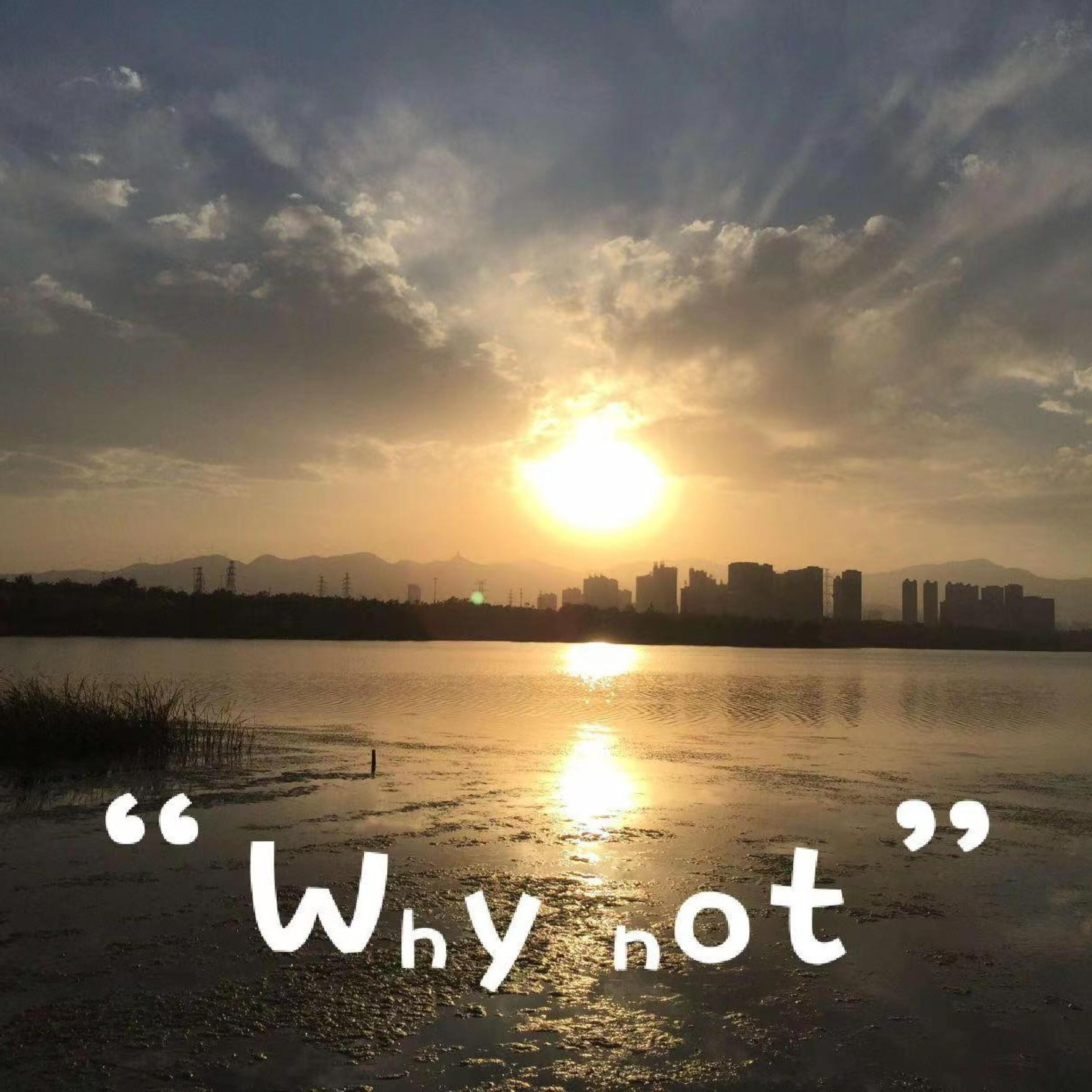 Релиз Why Not