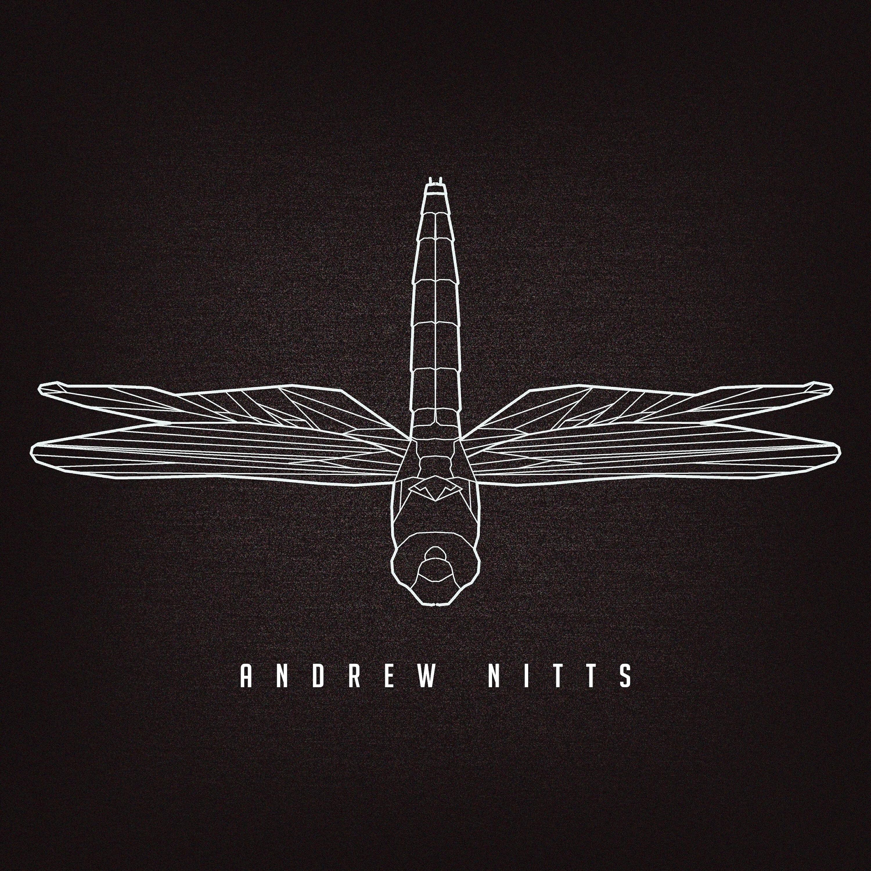 Релиз Dragonfly Dance