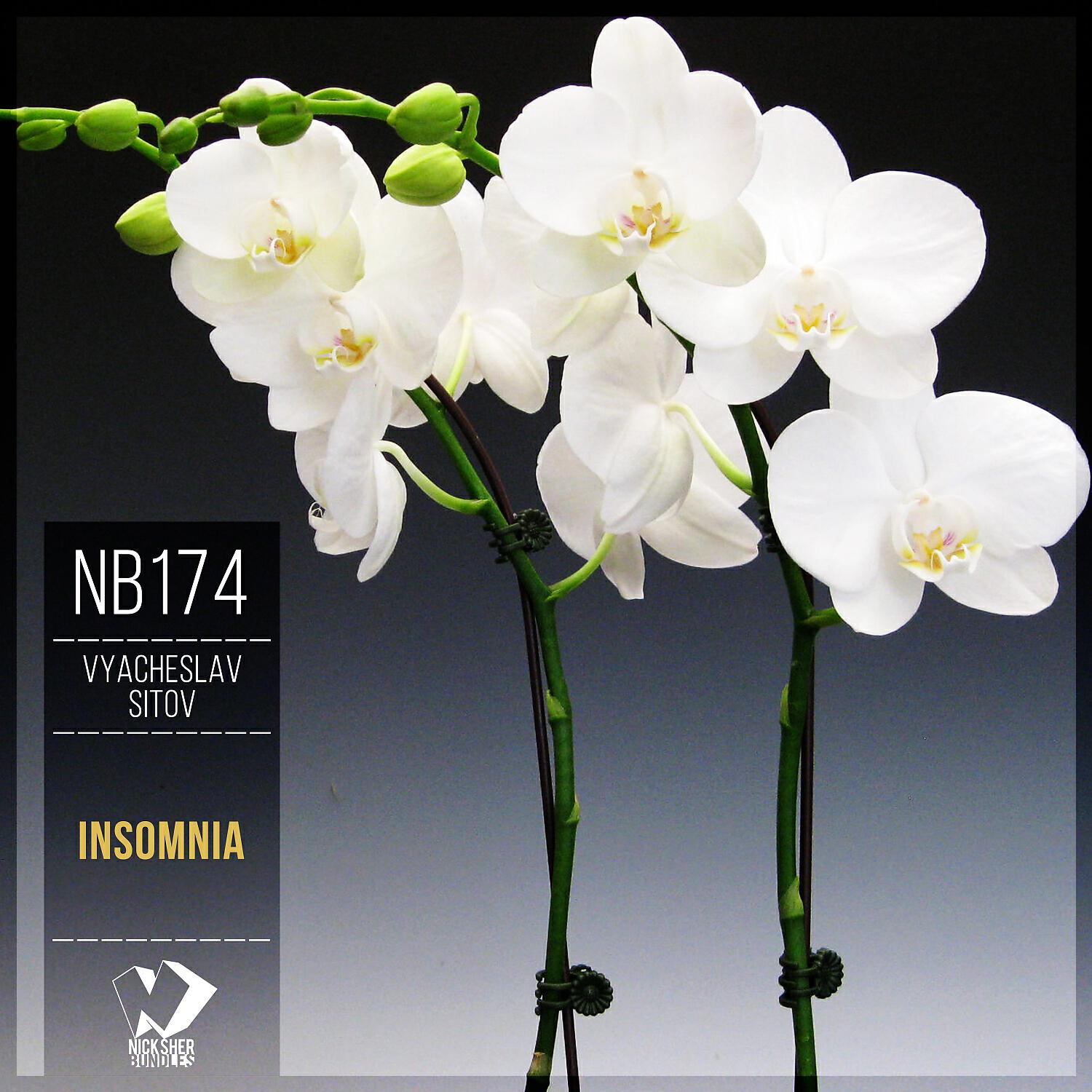 Релиз Insomnia