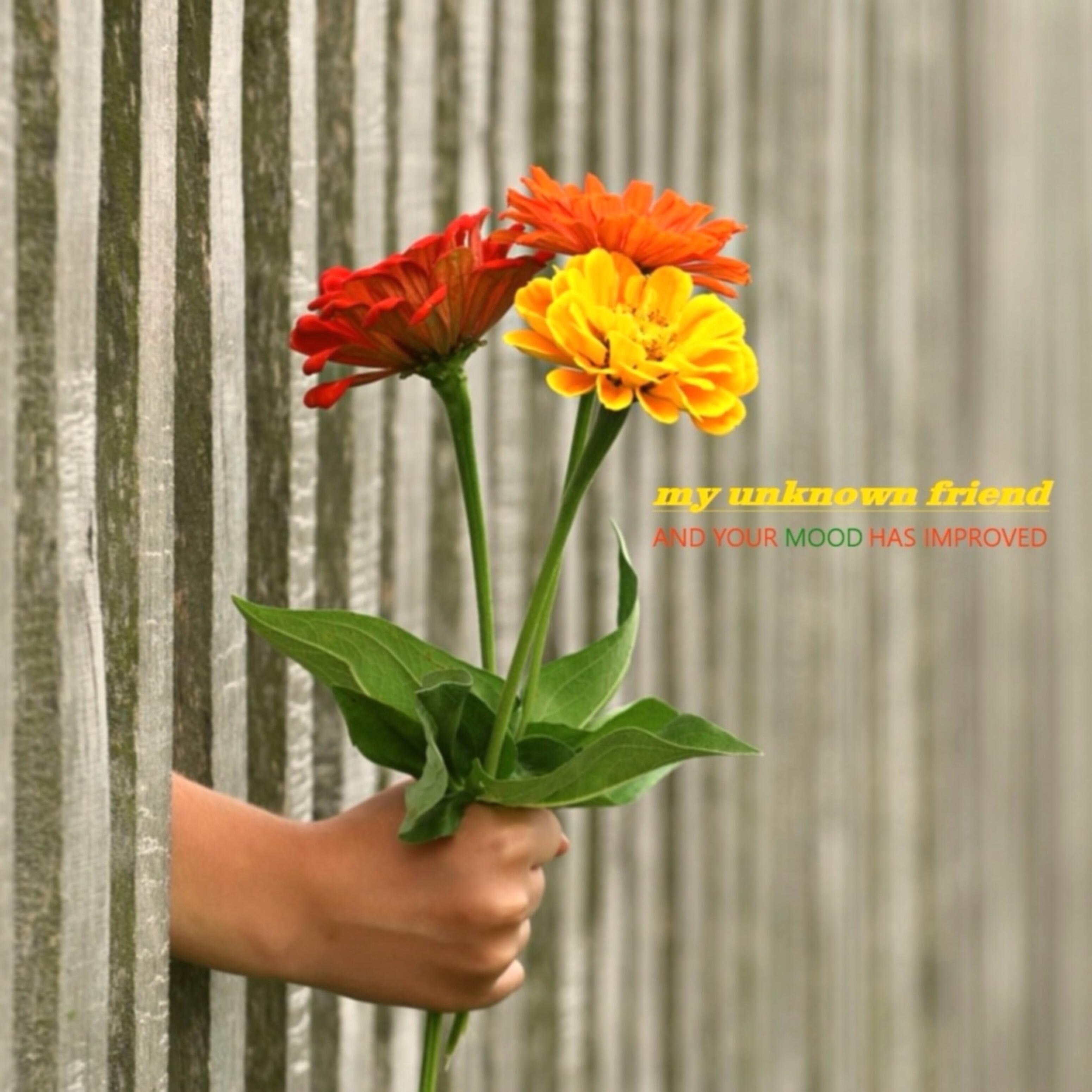 Релиз And Your Mood Has Improved