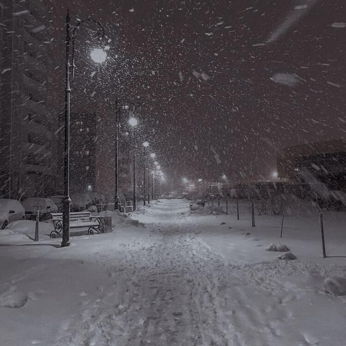 Релиз Winter Night