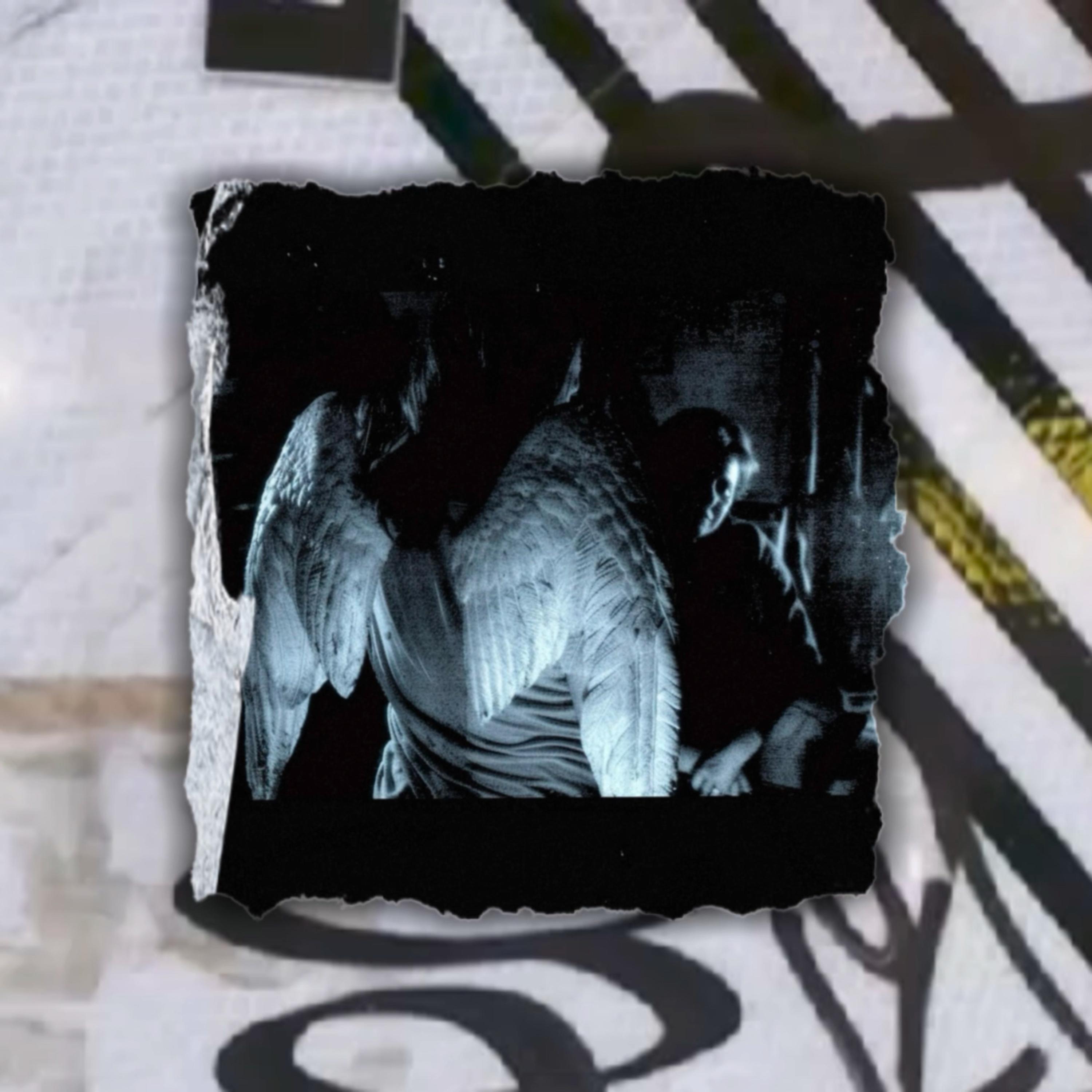 YNGDrip