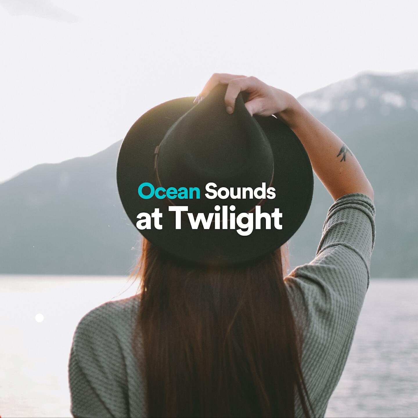 Постер альбома Ocean Sounds at Twilight