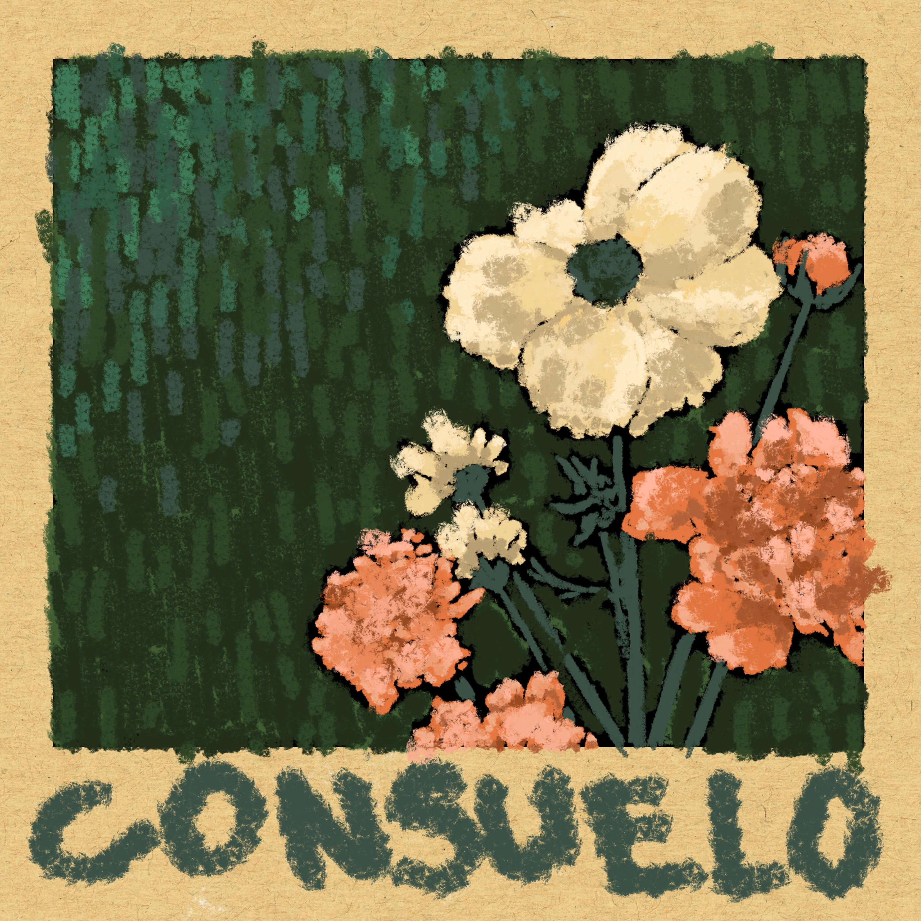 sonciclos