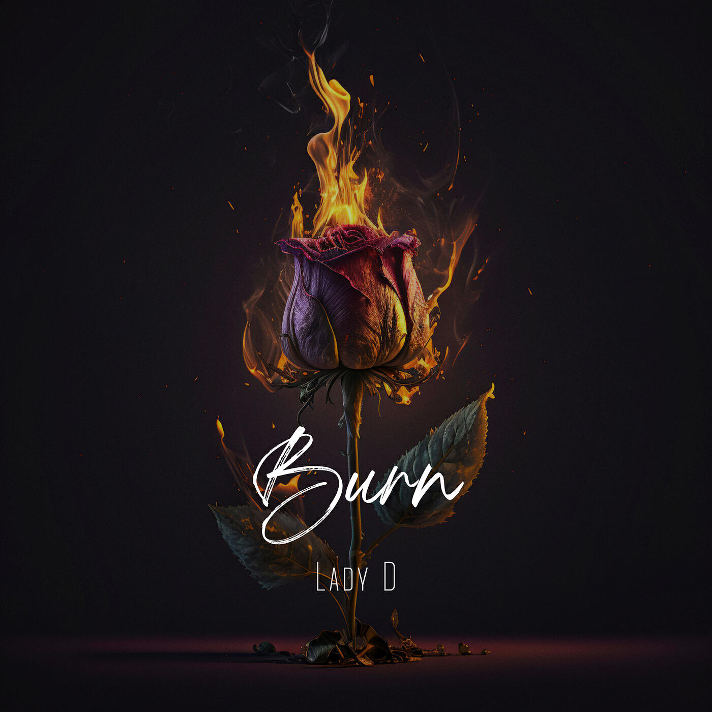 Релиз Burn