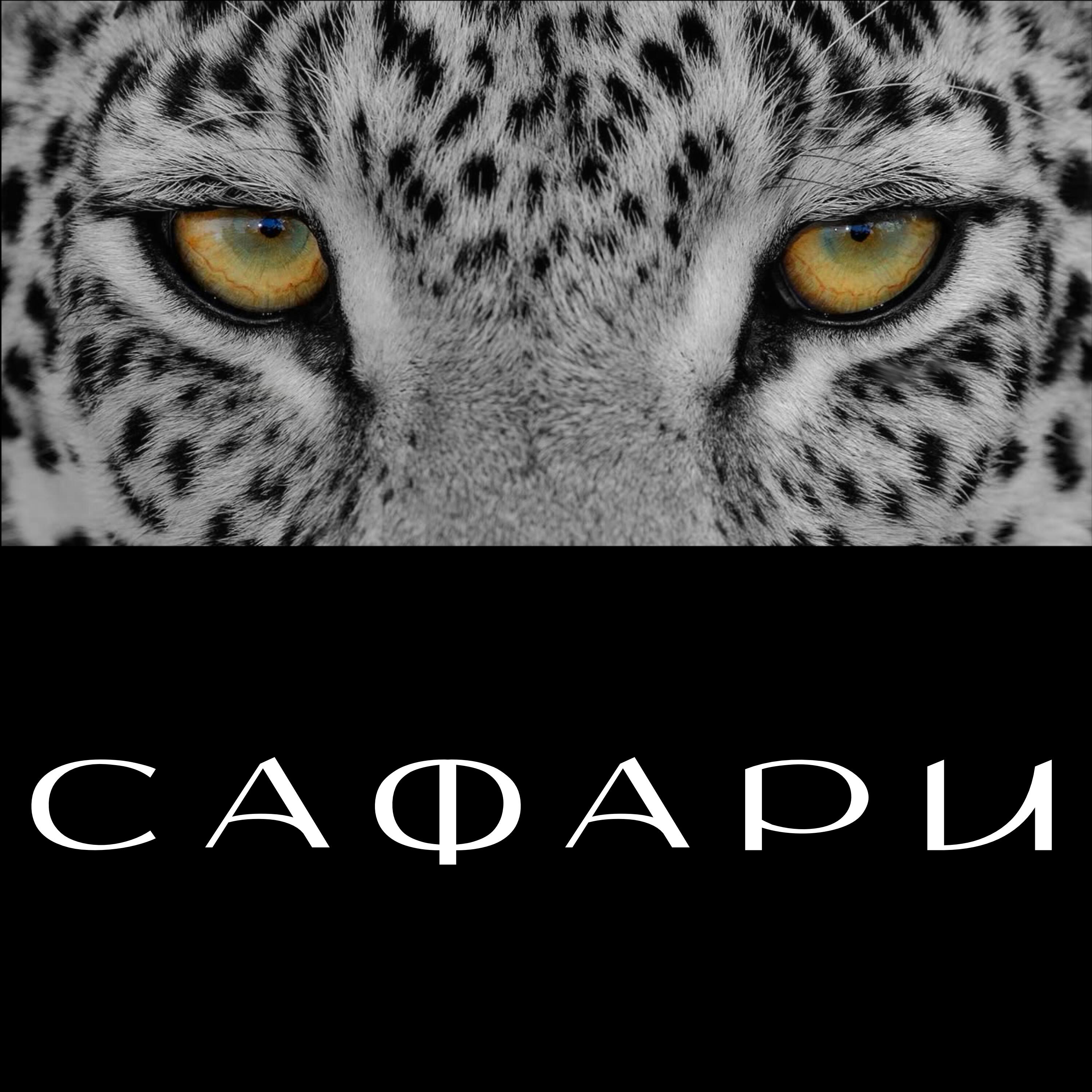 Релиз Сафари