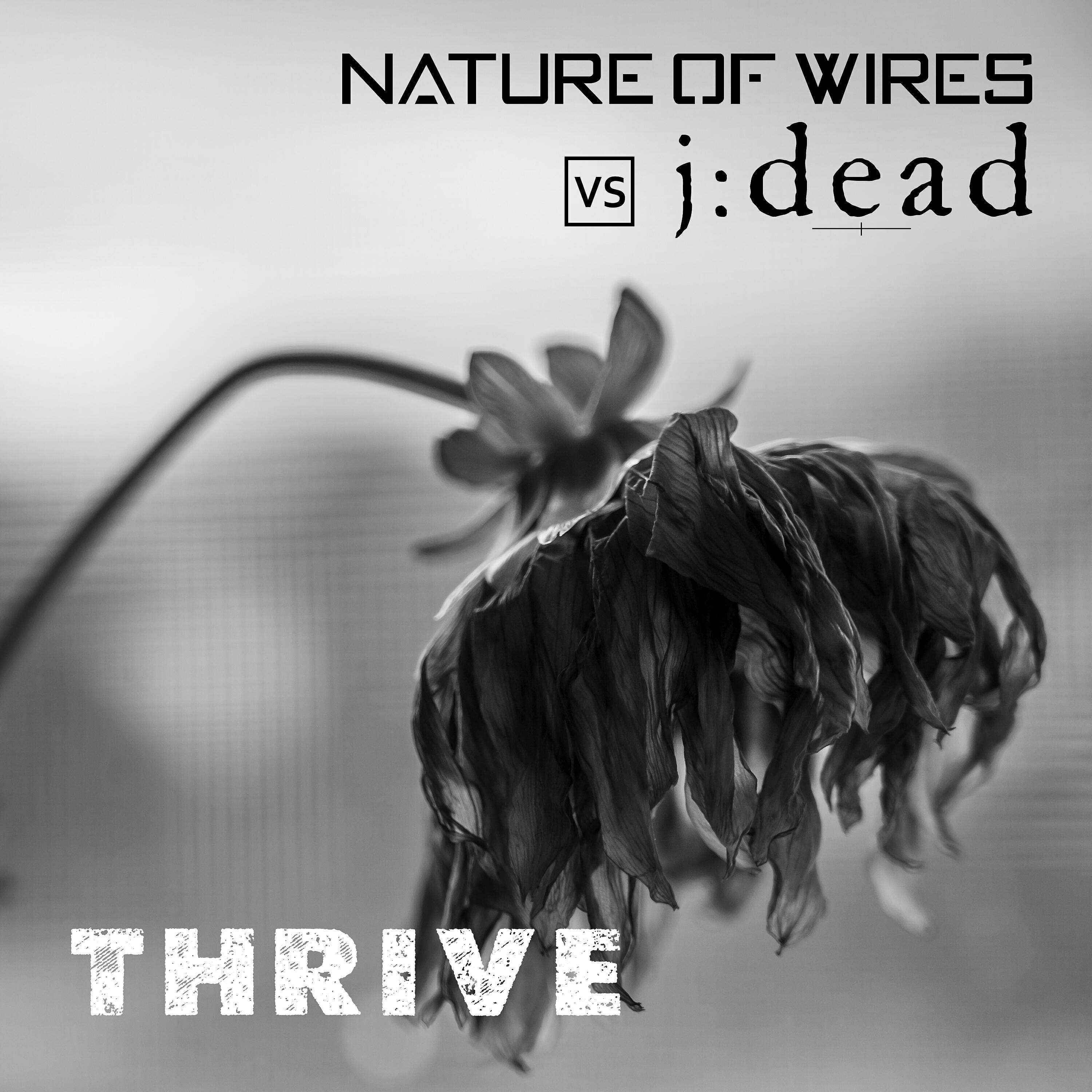 Постер альбома Thrive