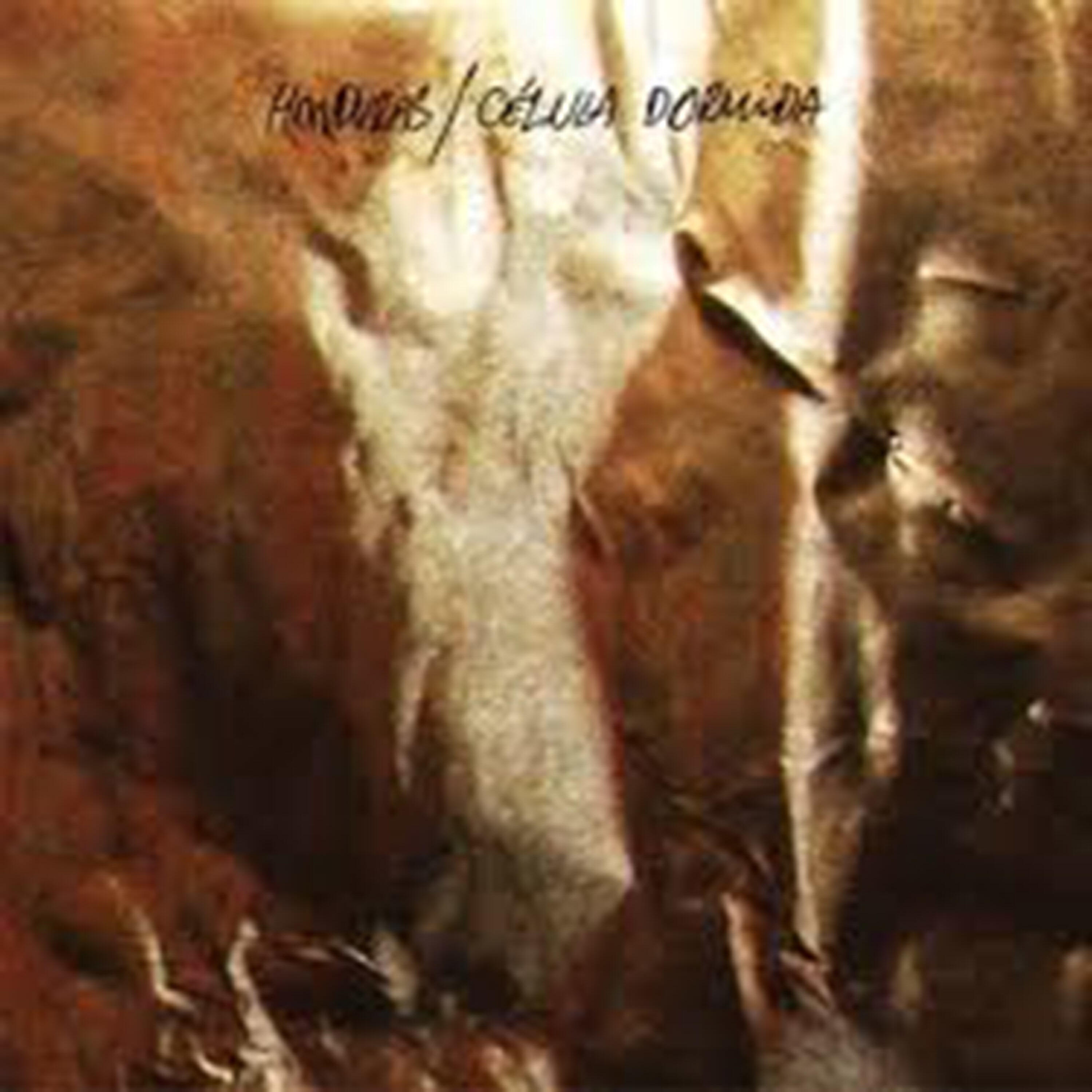 Релиз Célula Dormida